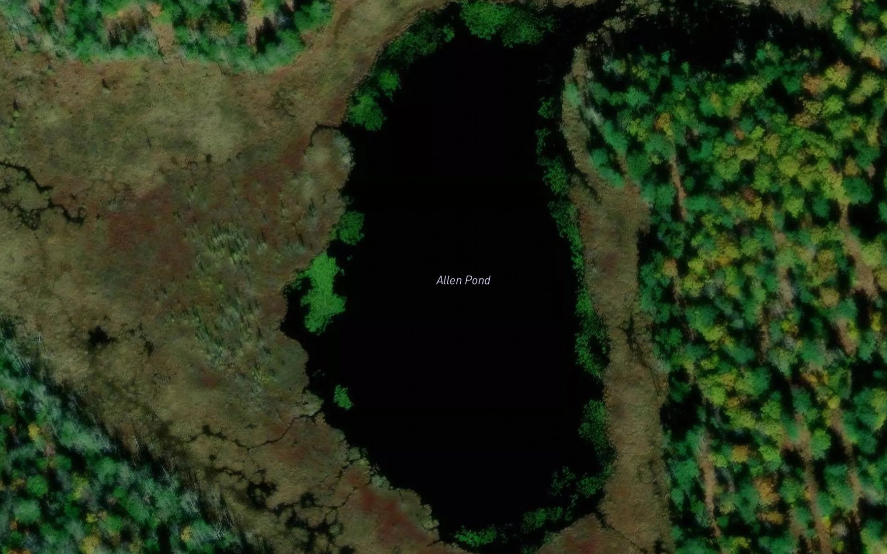 Satellite map of the Allen Pond