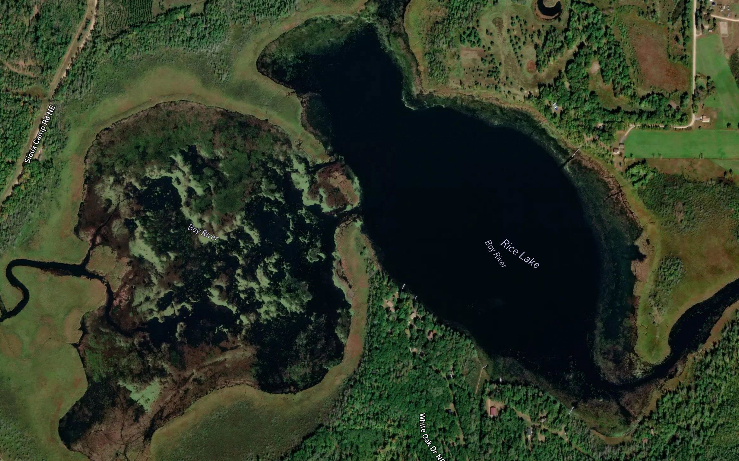 Rice Lake
