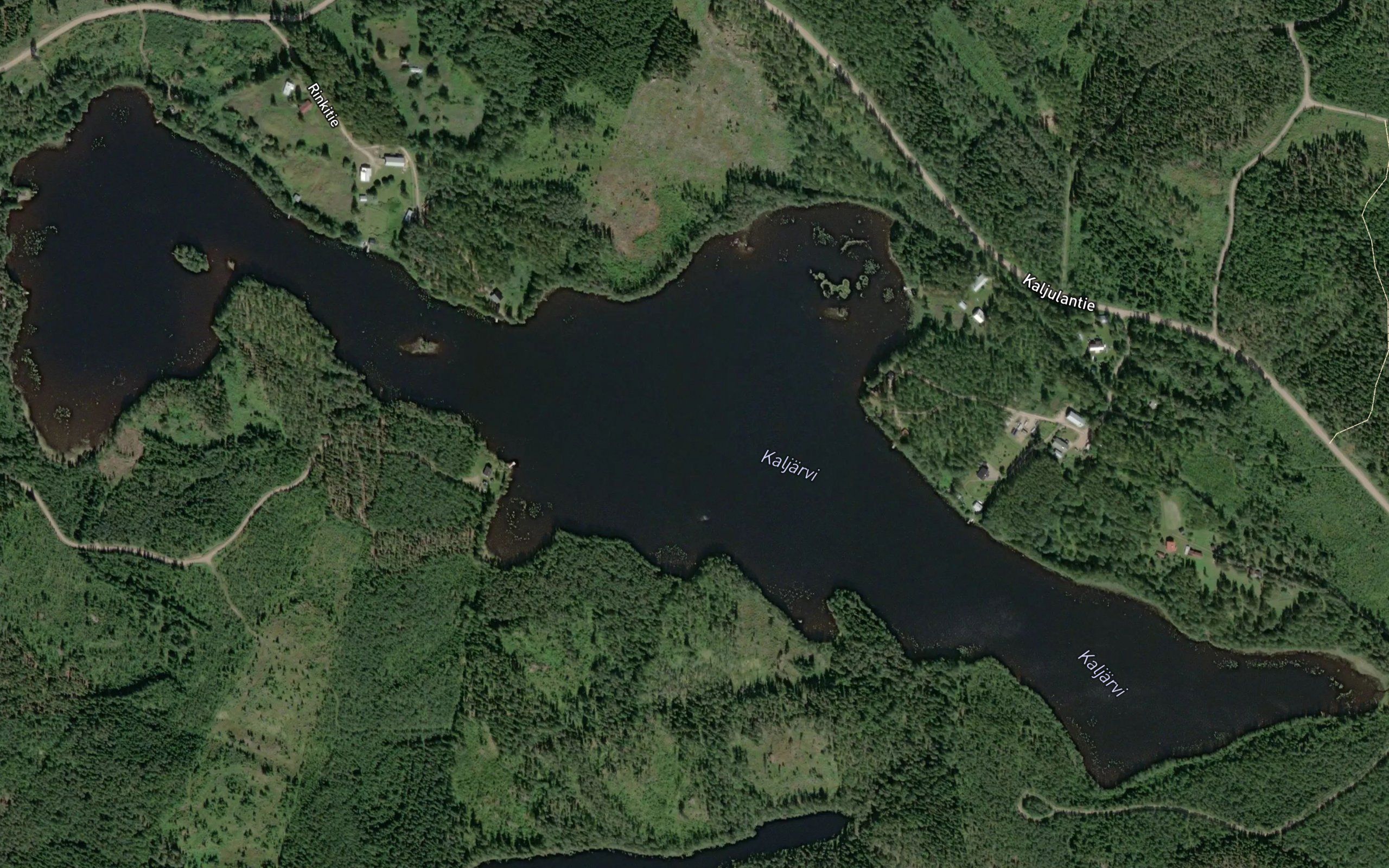 Kaljarvi