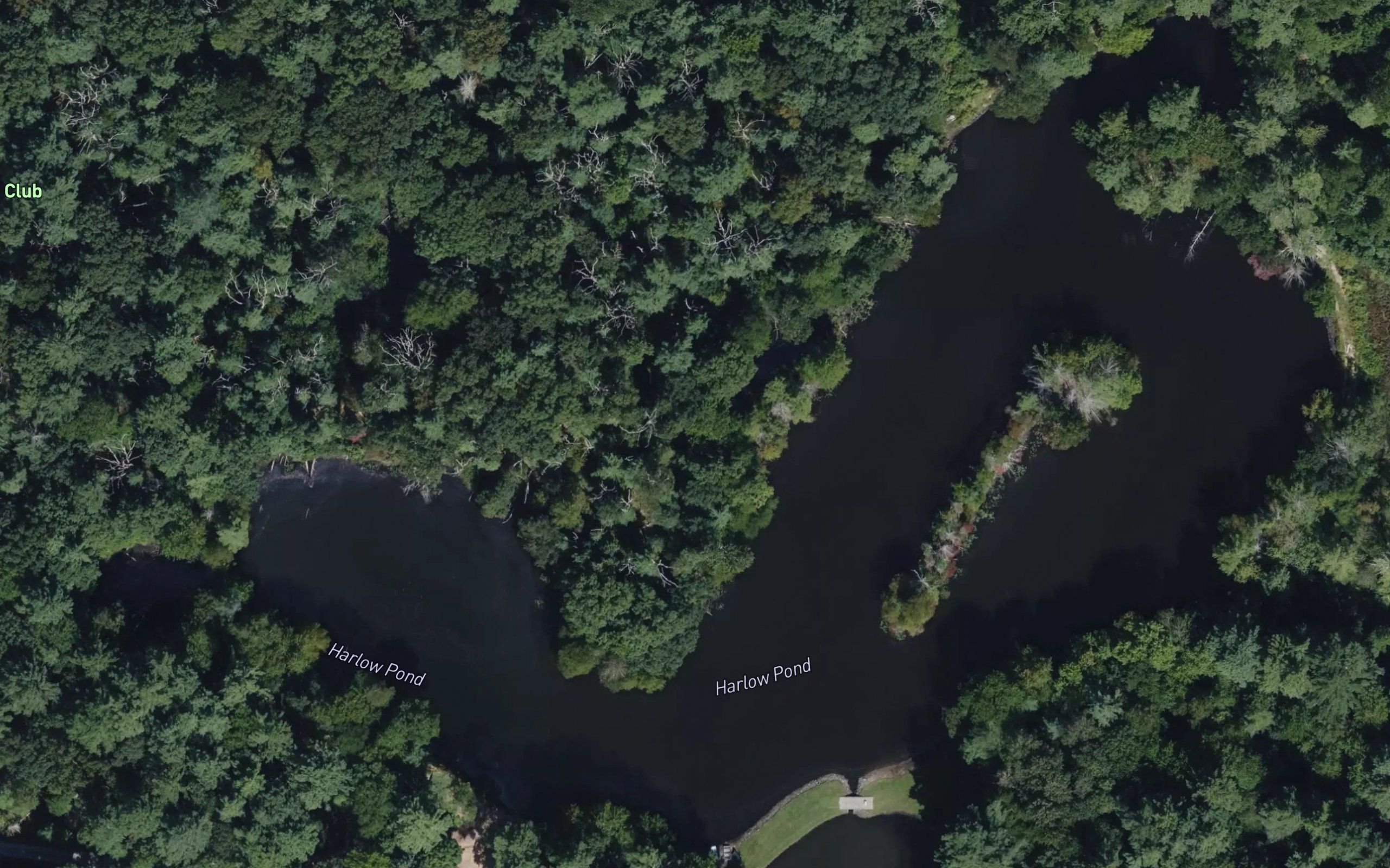 Harlow Pond