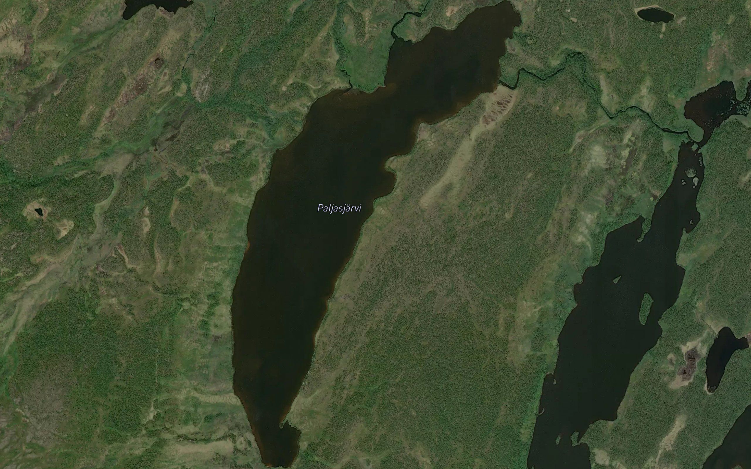 Paljasjaervi