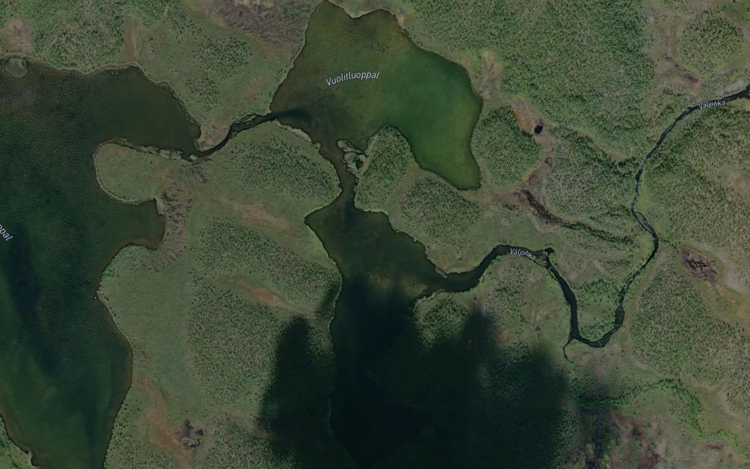 Vuolitluoppal