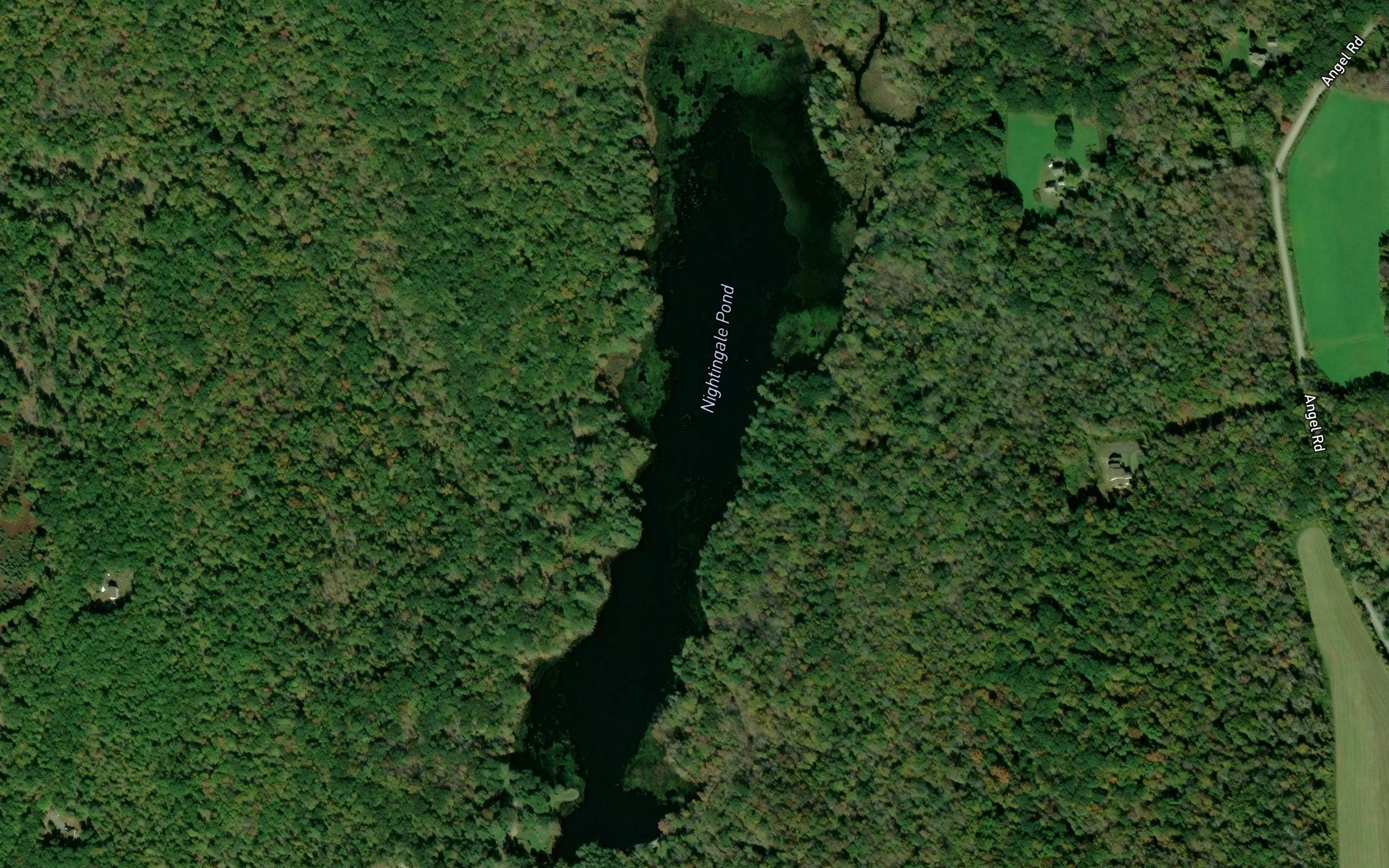 Nightingale Pond