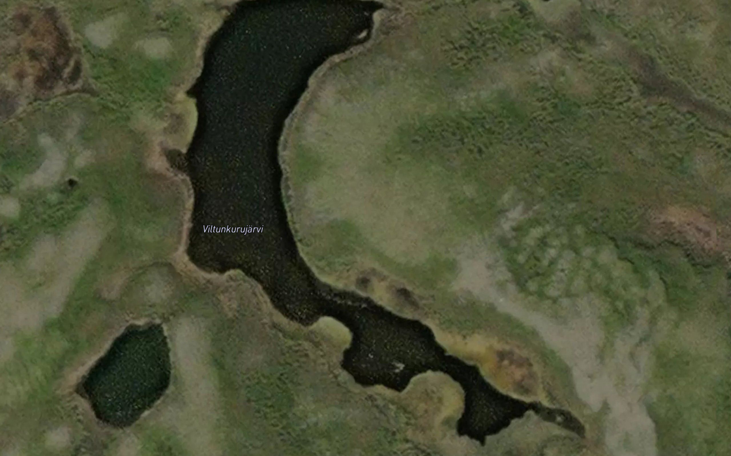 Vildongorojaervi
