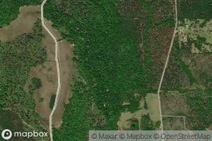 Little Cowikee Creek