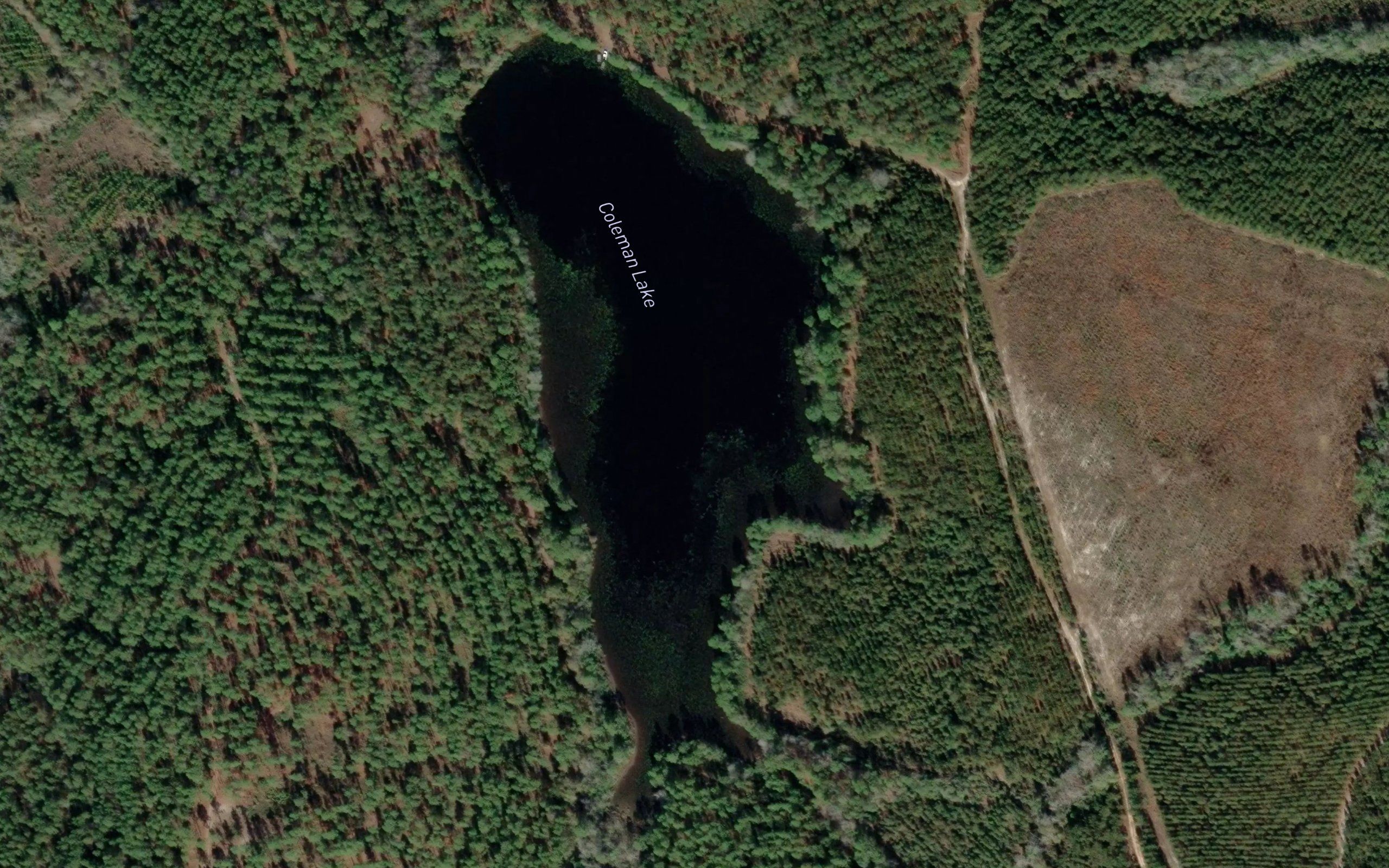 Coleman Lake