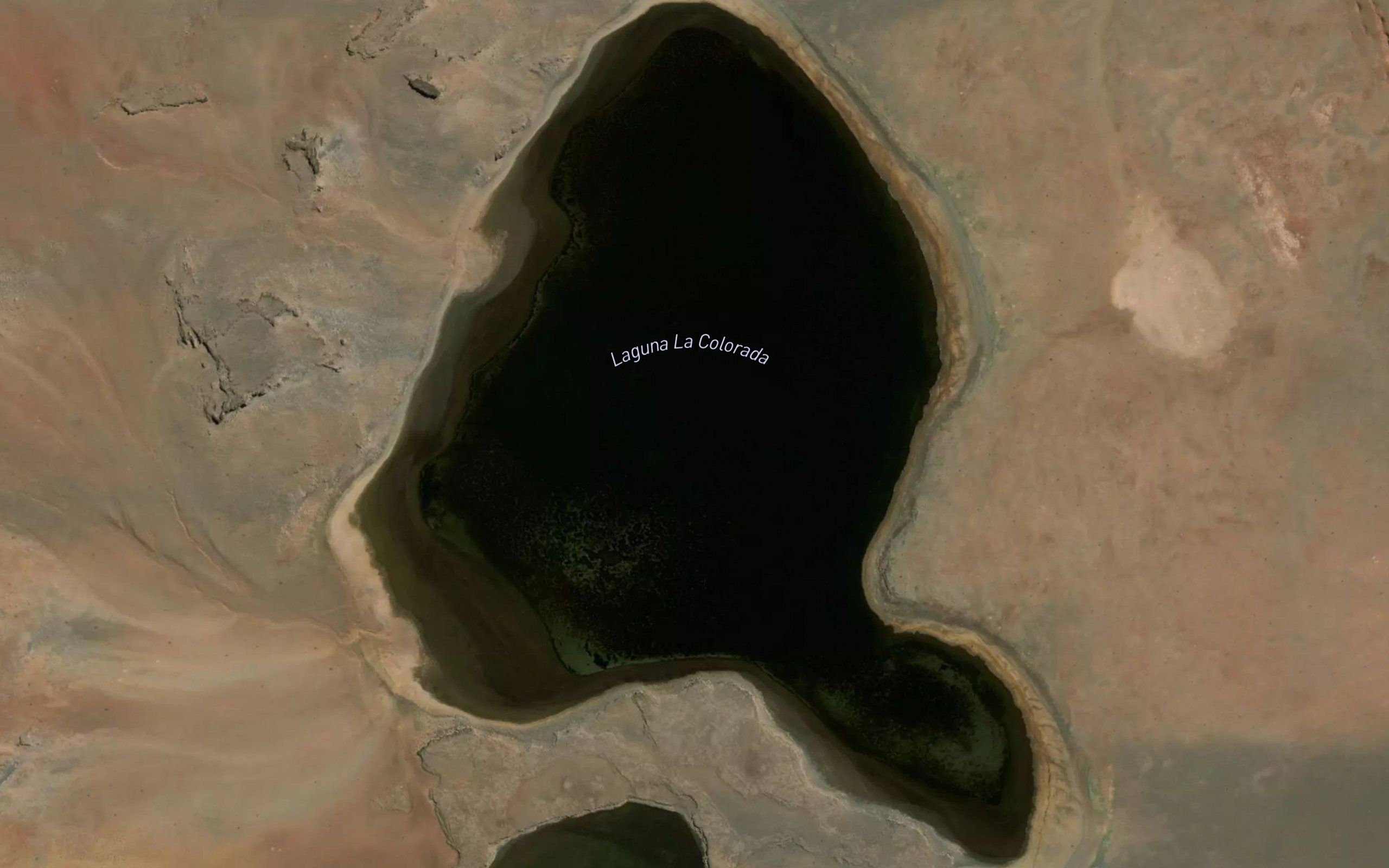 Laguna La Colorada