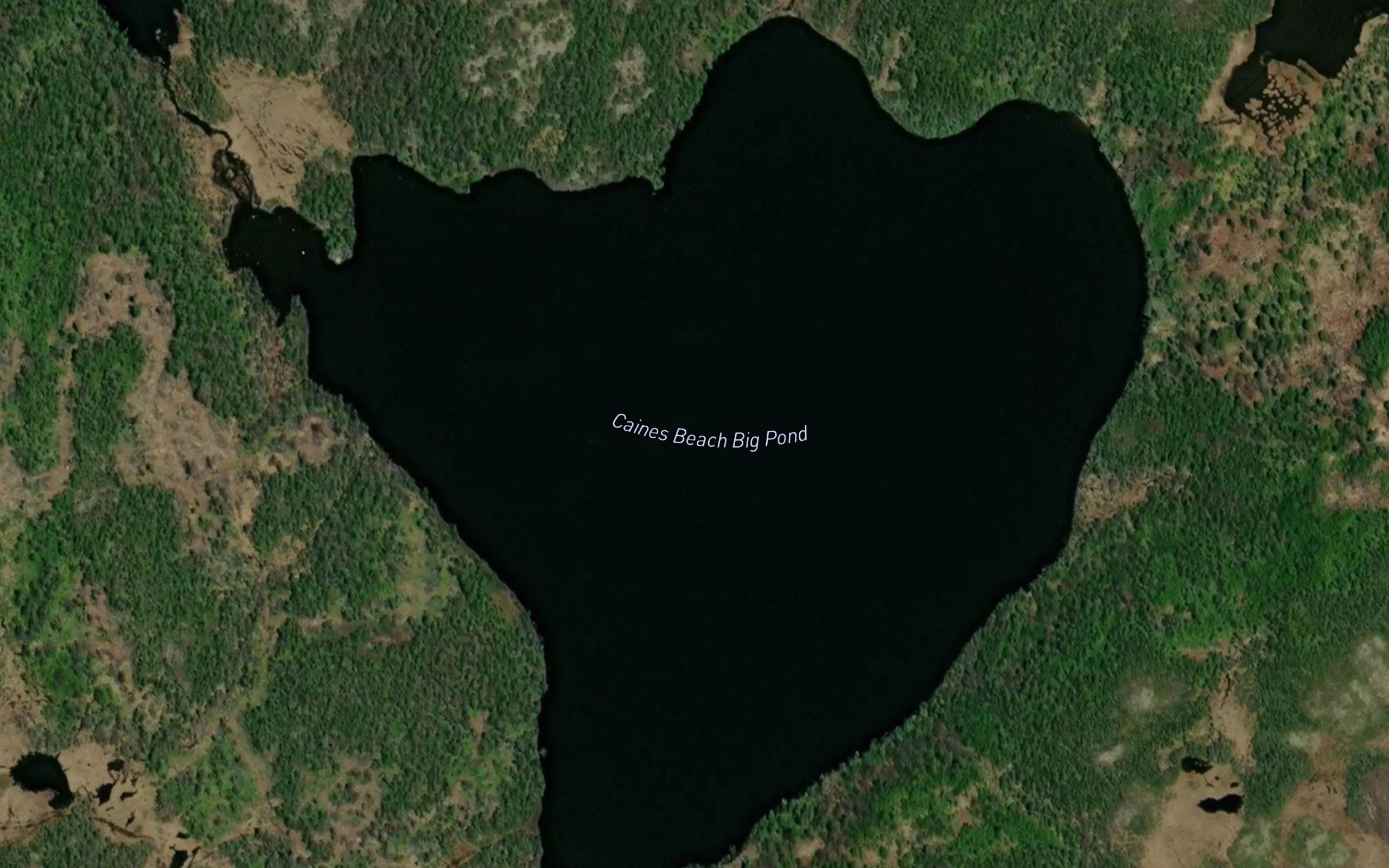 Caines Beach Big Pond