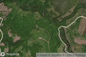 Quinn Brook
