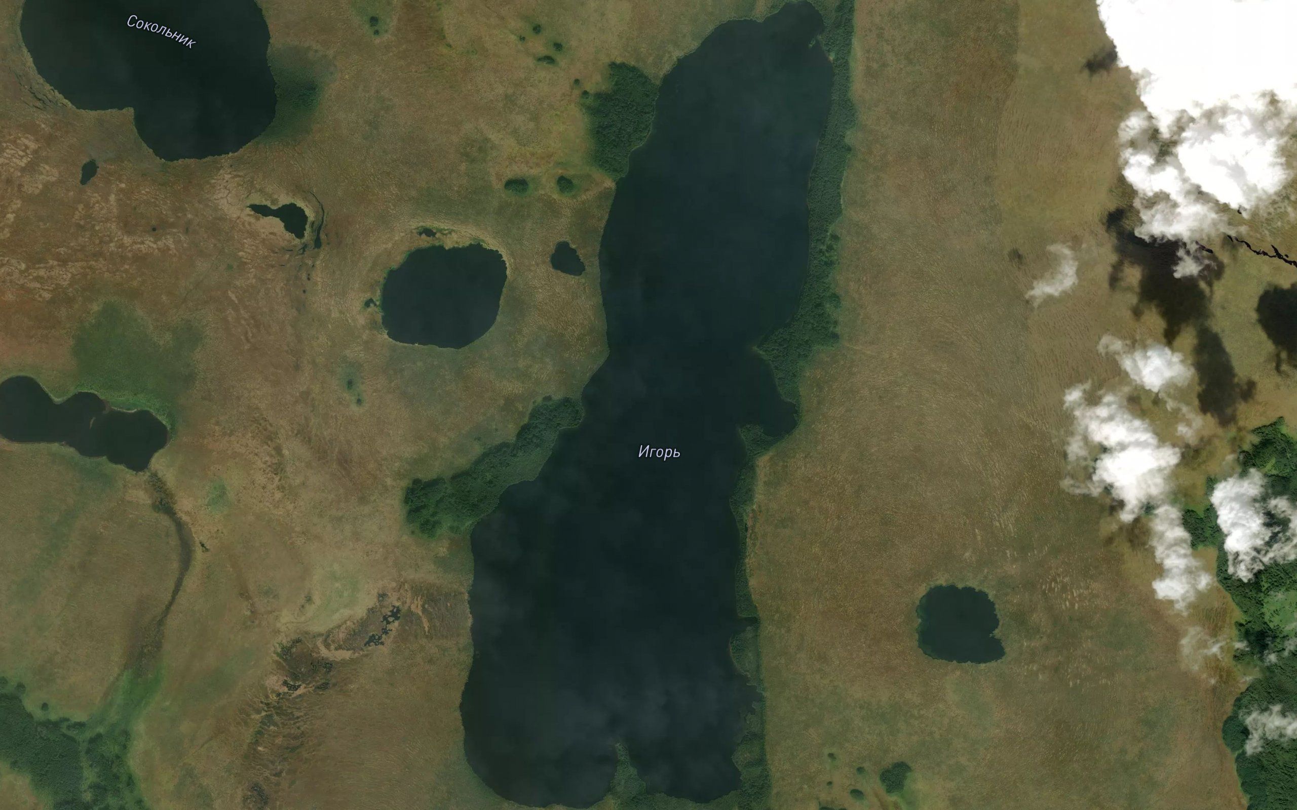 Ozero Igor'
