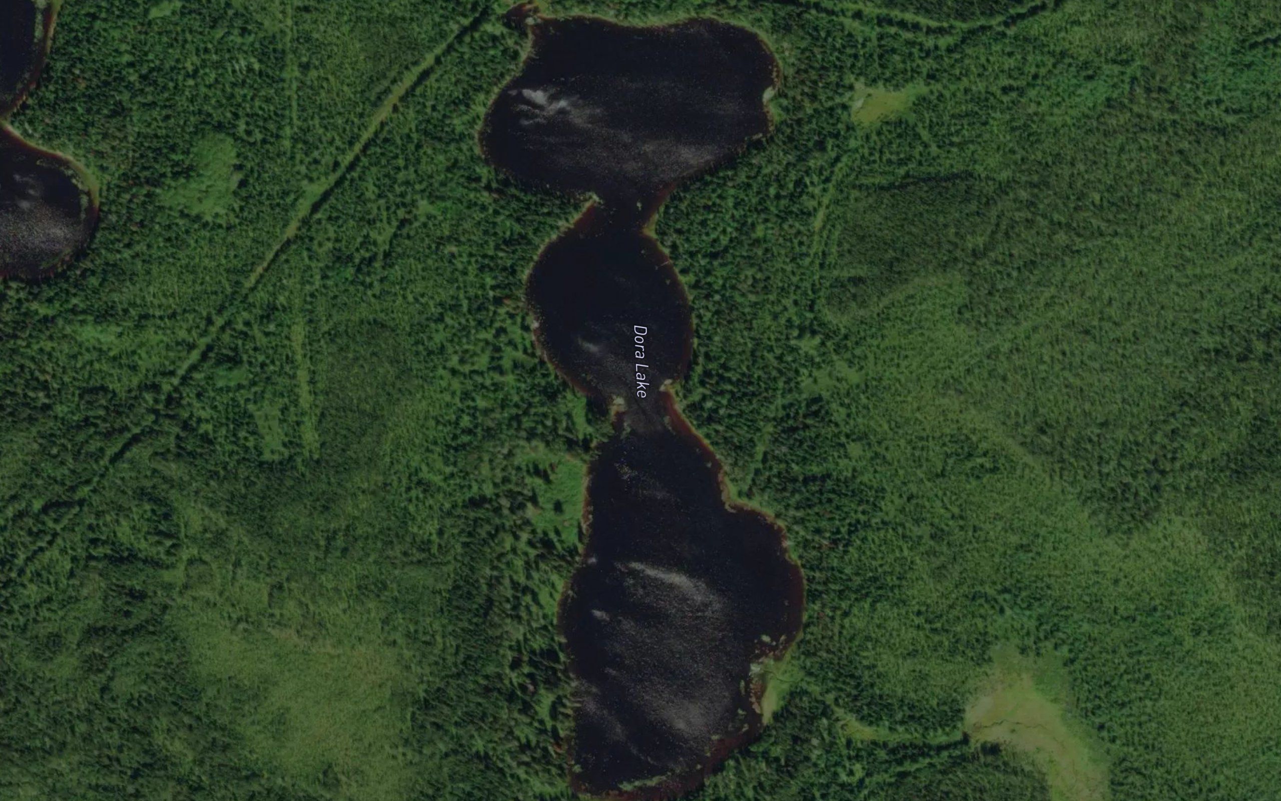 Dora Lake