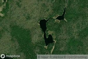 Vireo Lake