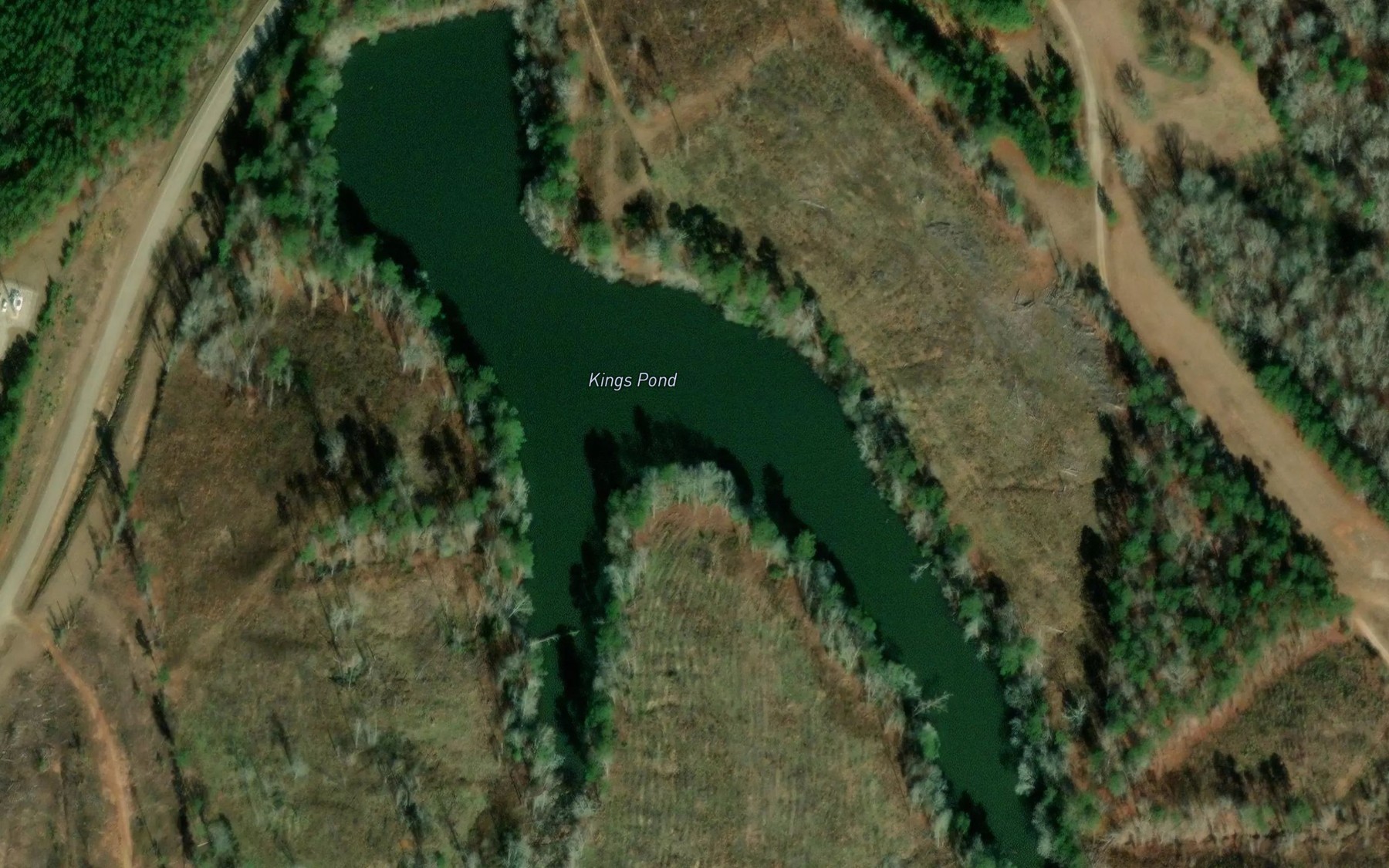 Satellite map of the Kings Pond
