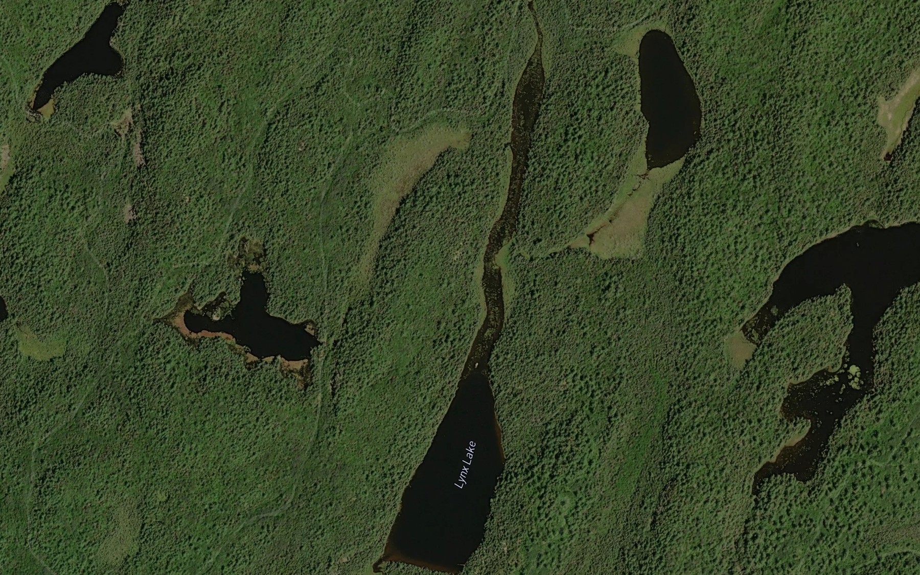 Satellite map of the Lynx Lake