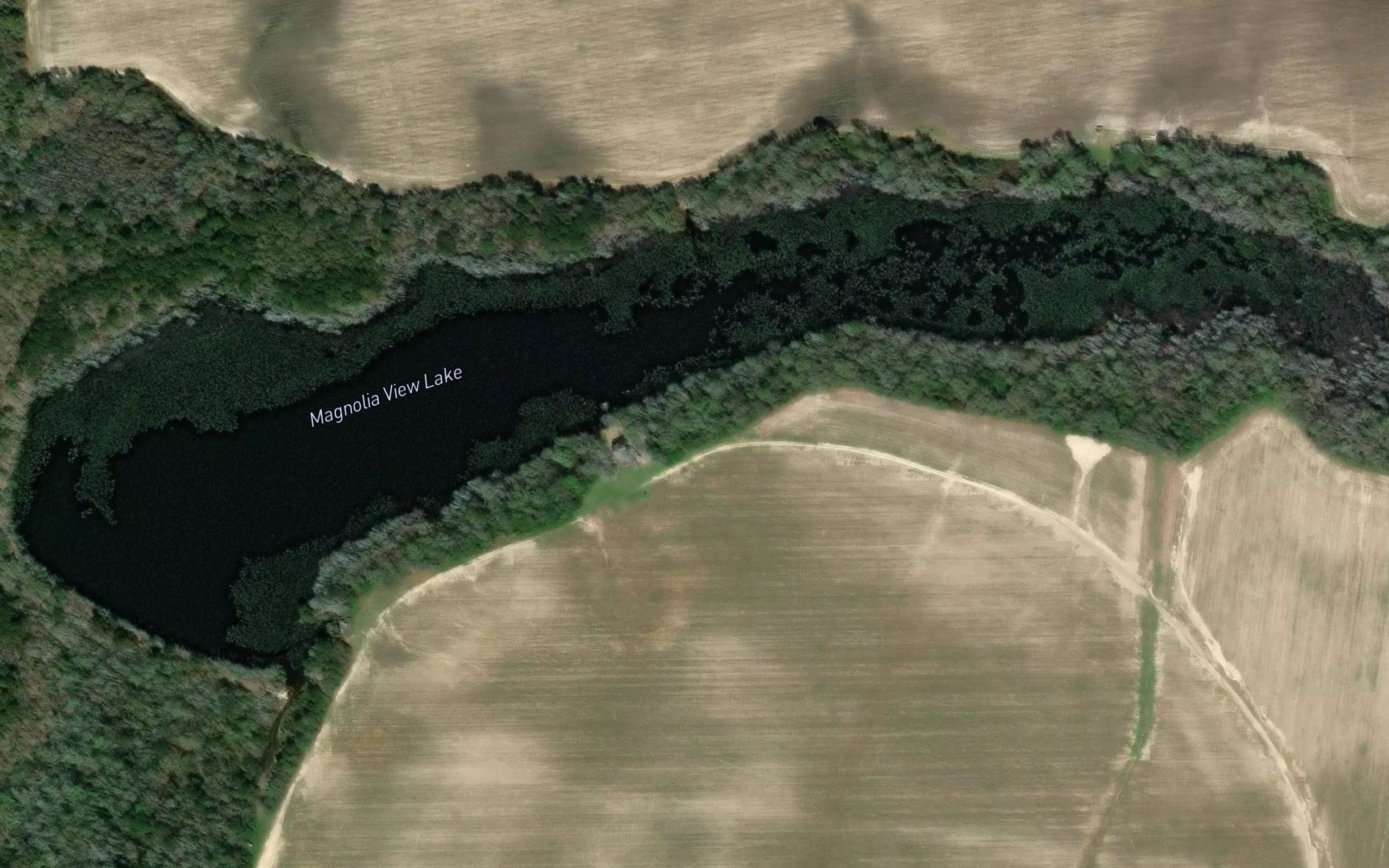 Magnolia View Lake