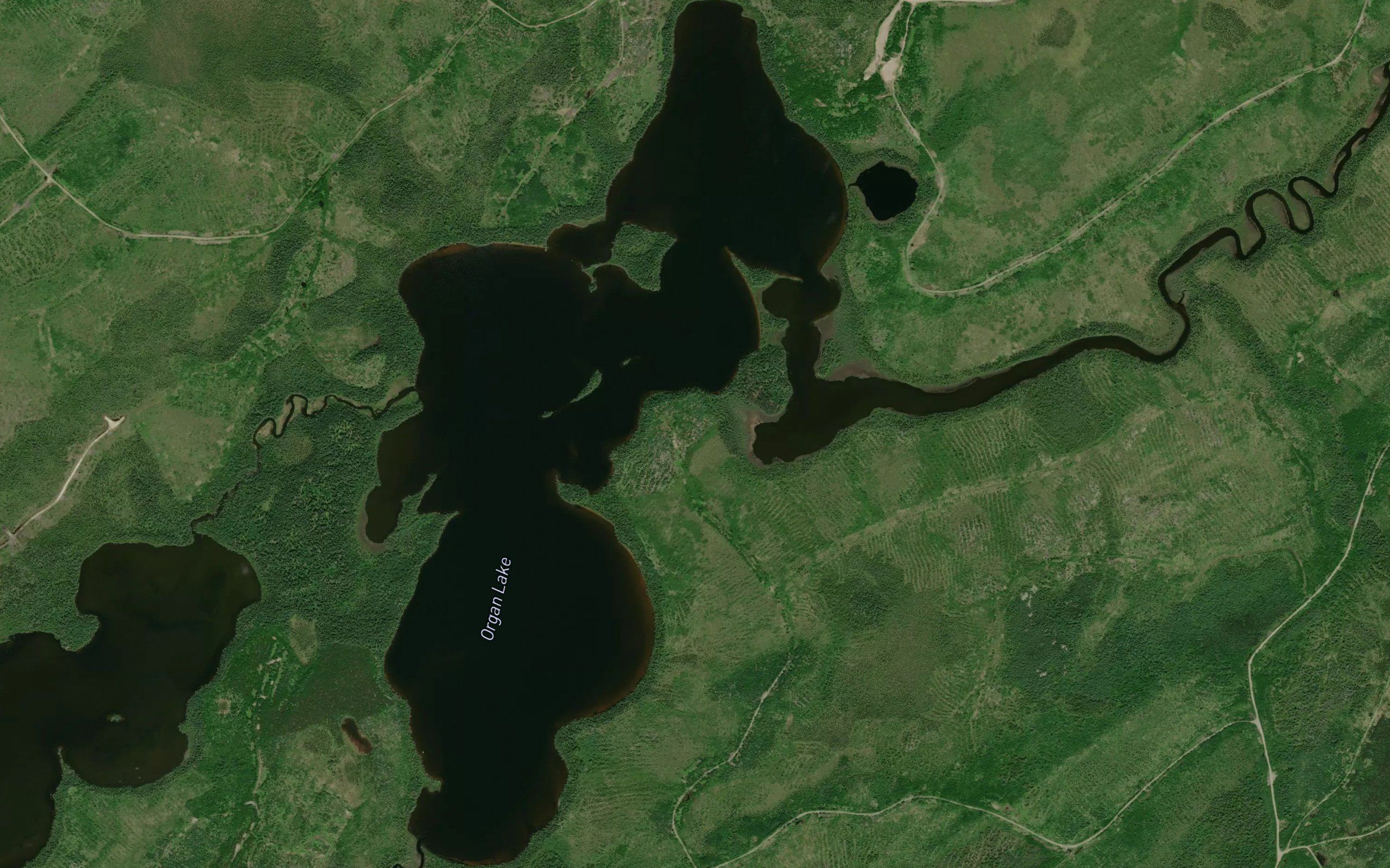 Organ Lake