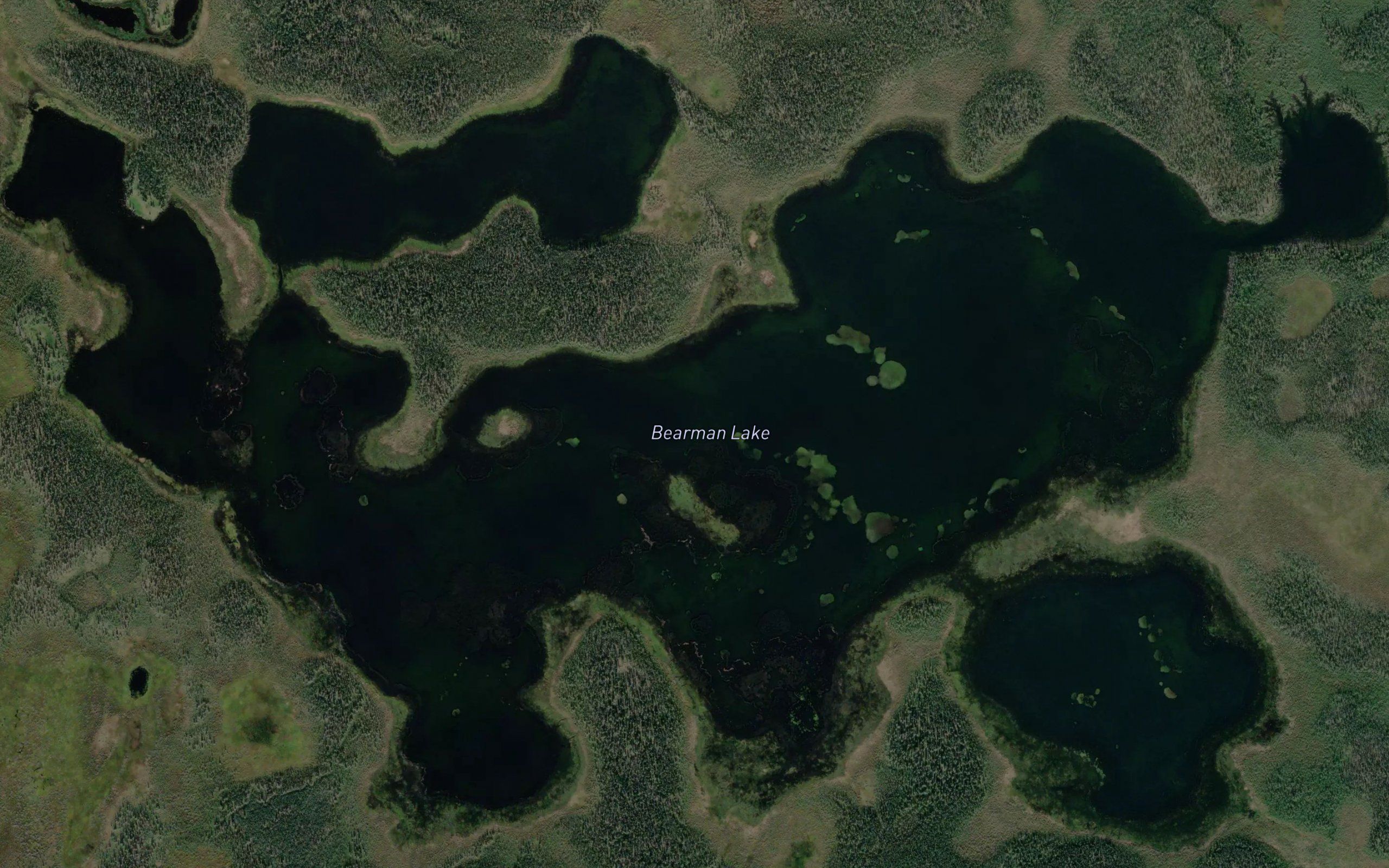 Bearman Lake