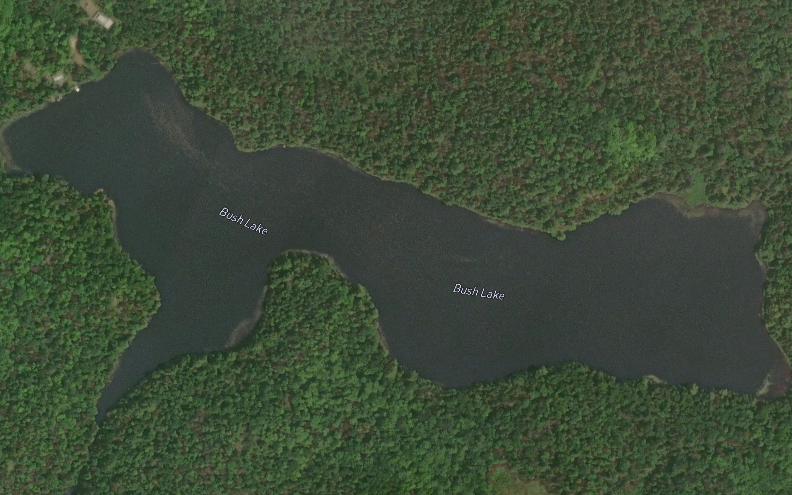 Bush Lake