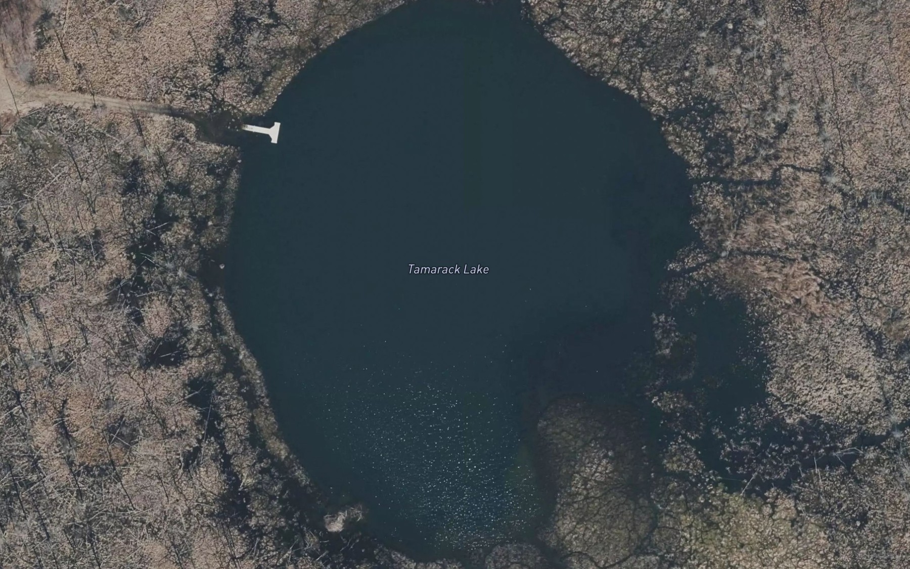 Satellite map of the Tamarack Lake