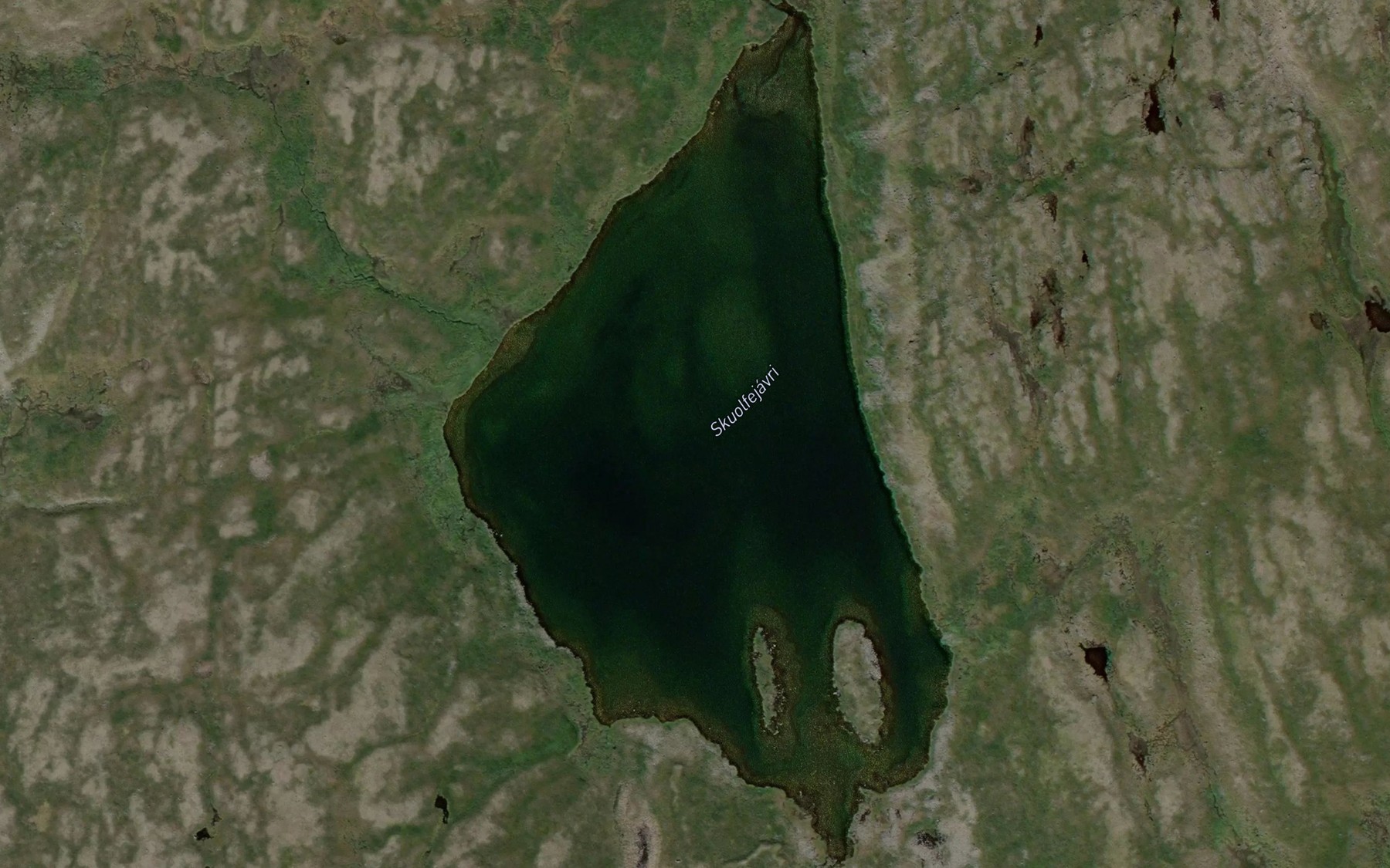 Satellite map of the Skuolfejavri
