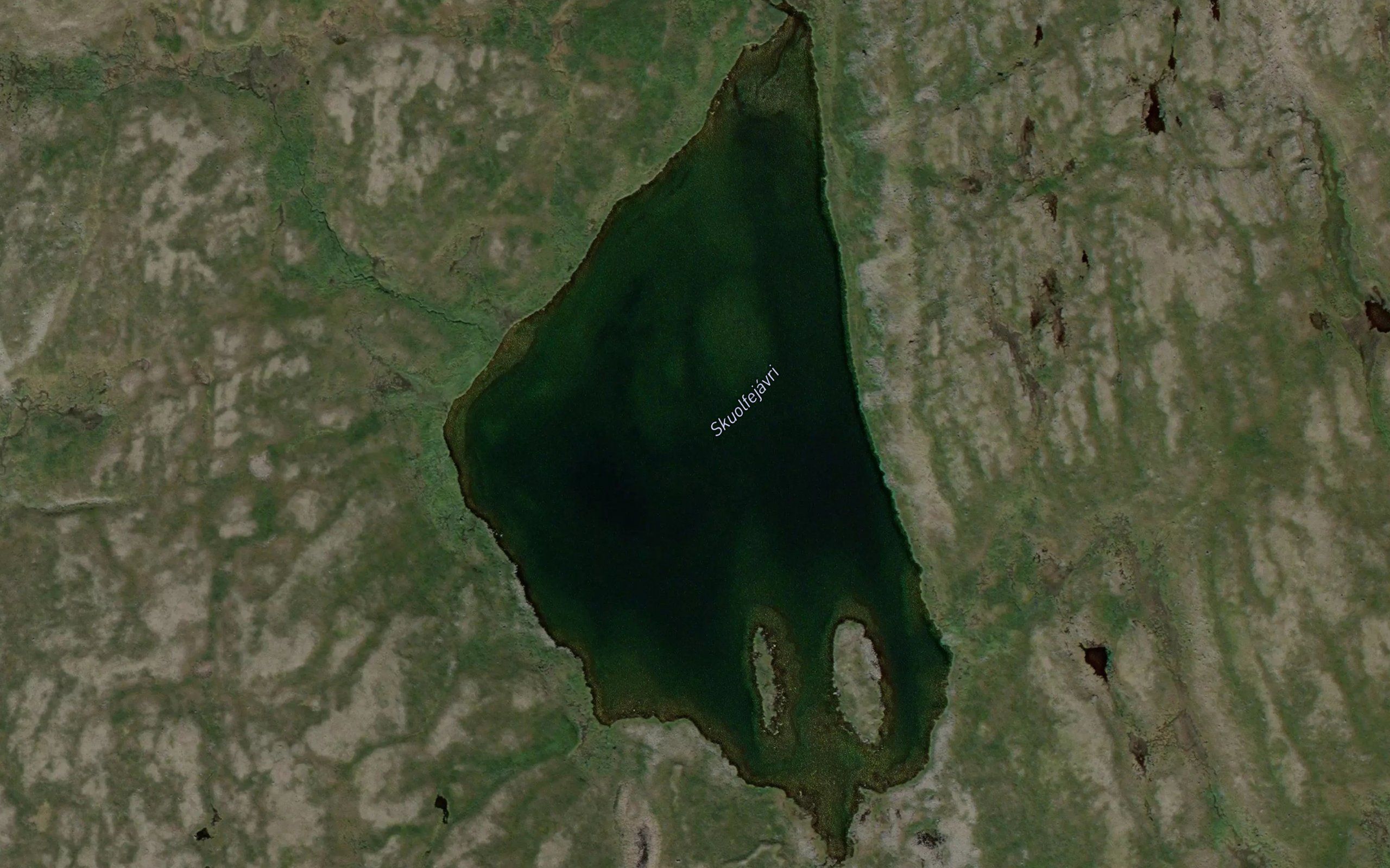 Skuolfejavri