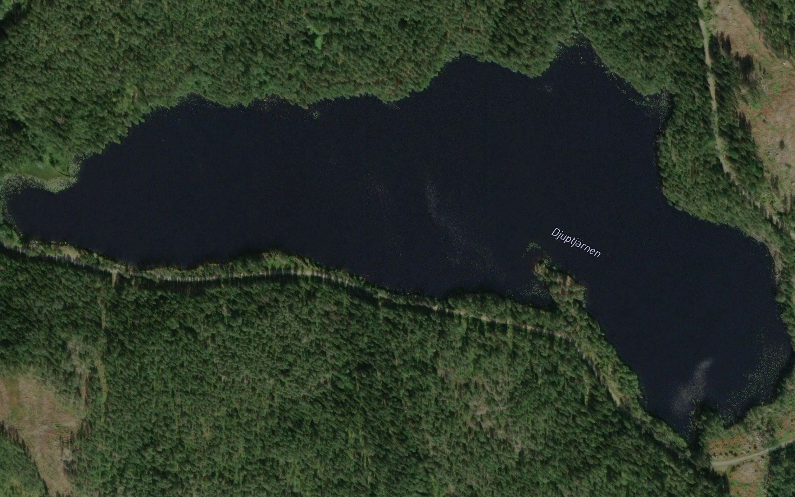Djuptjarn