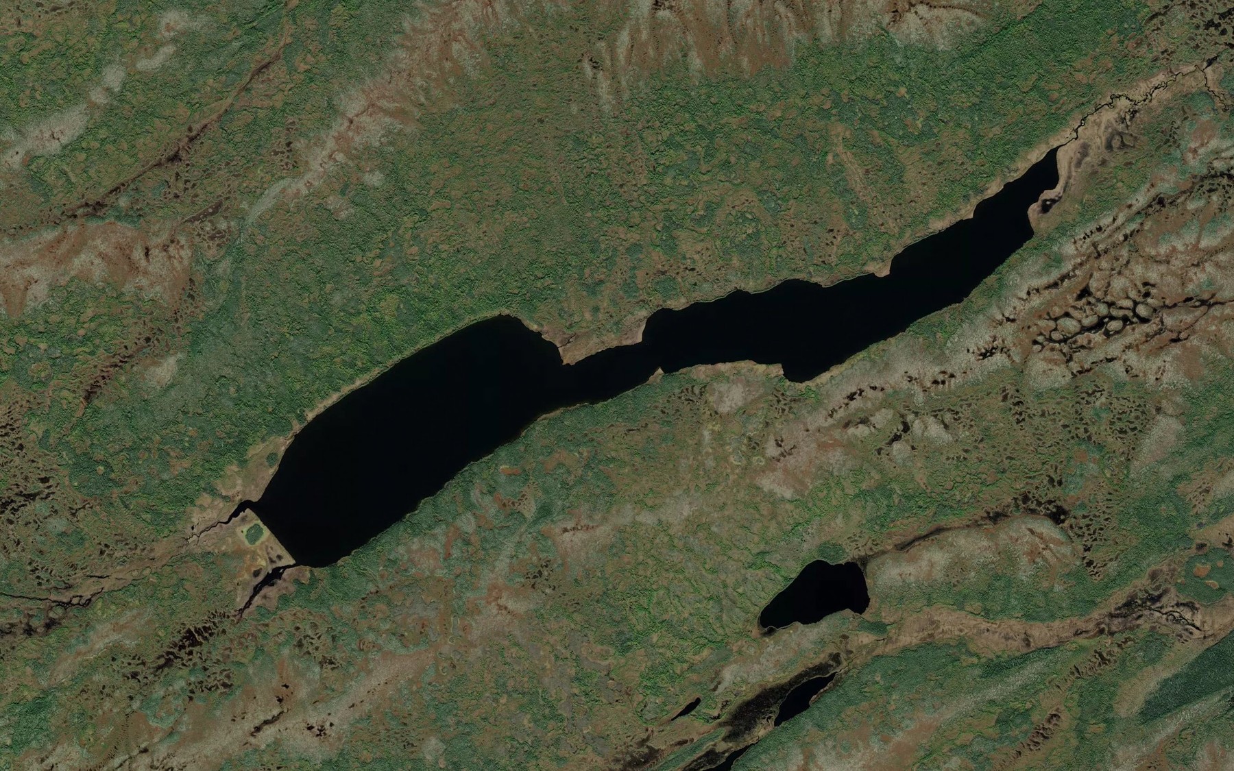 Satellite map of the Many Branches Lake
