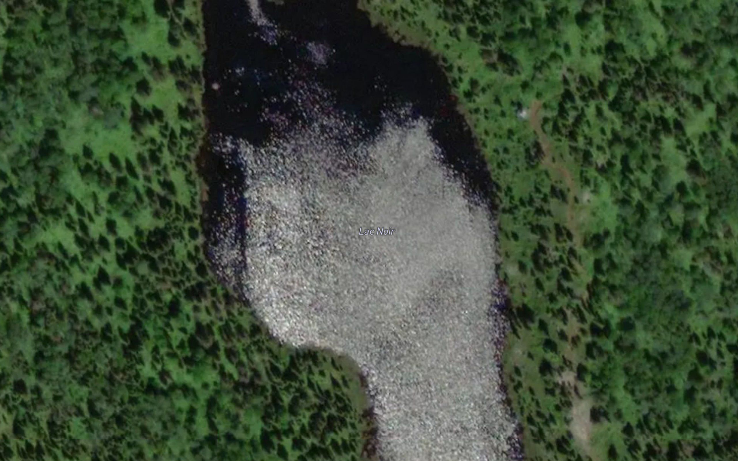 Lac Noir