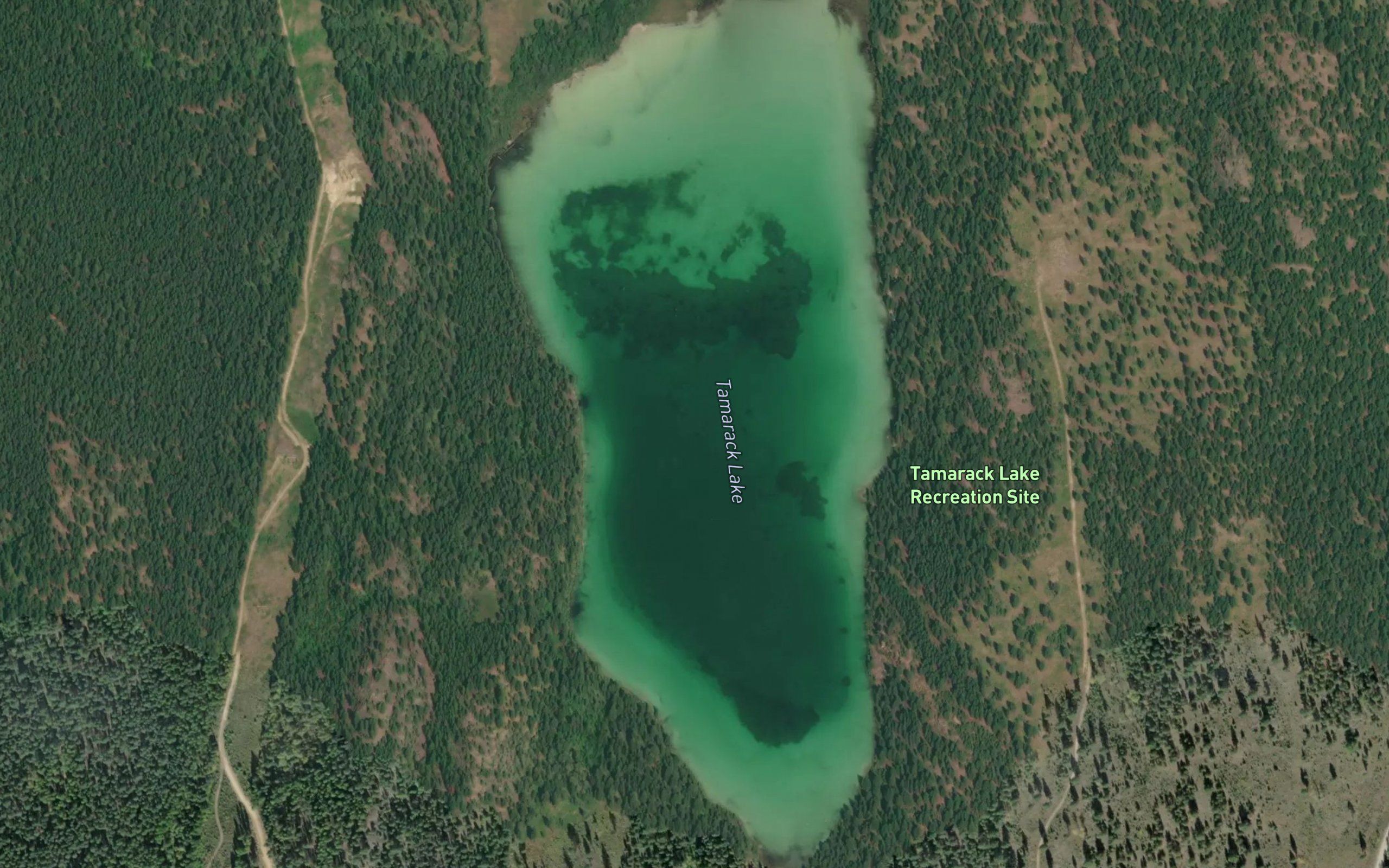Tamarack Lake
