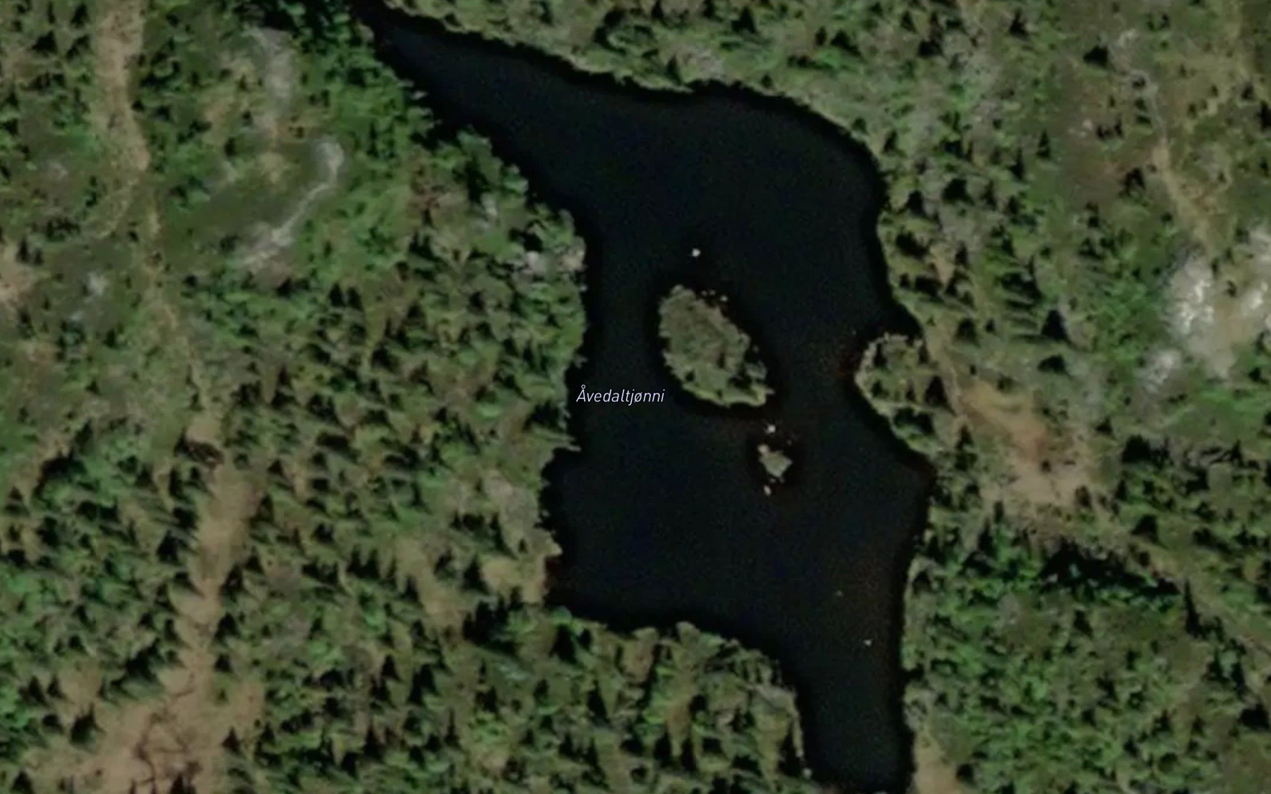 Avedalstjorn