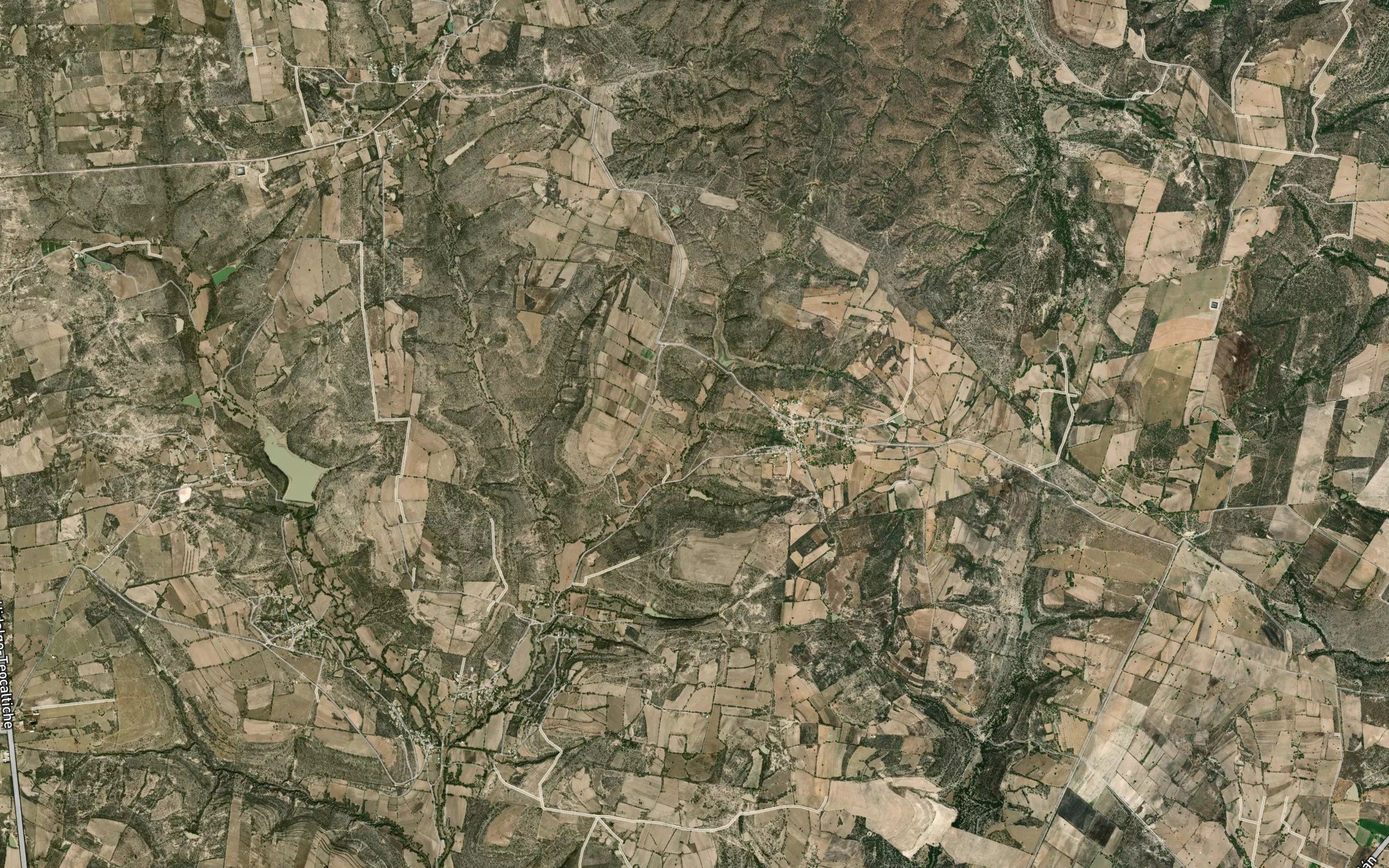 El Epazote
