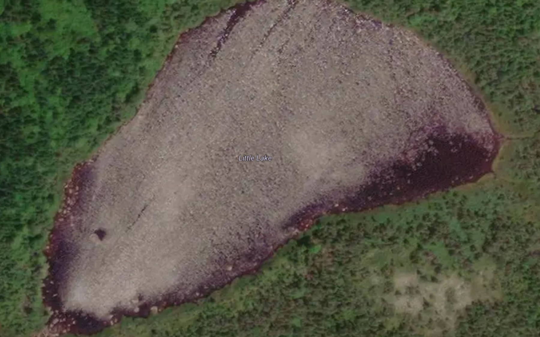 Satellite map of the Little Lake