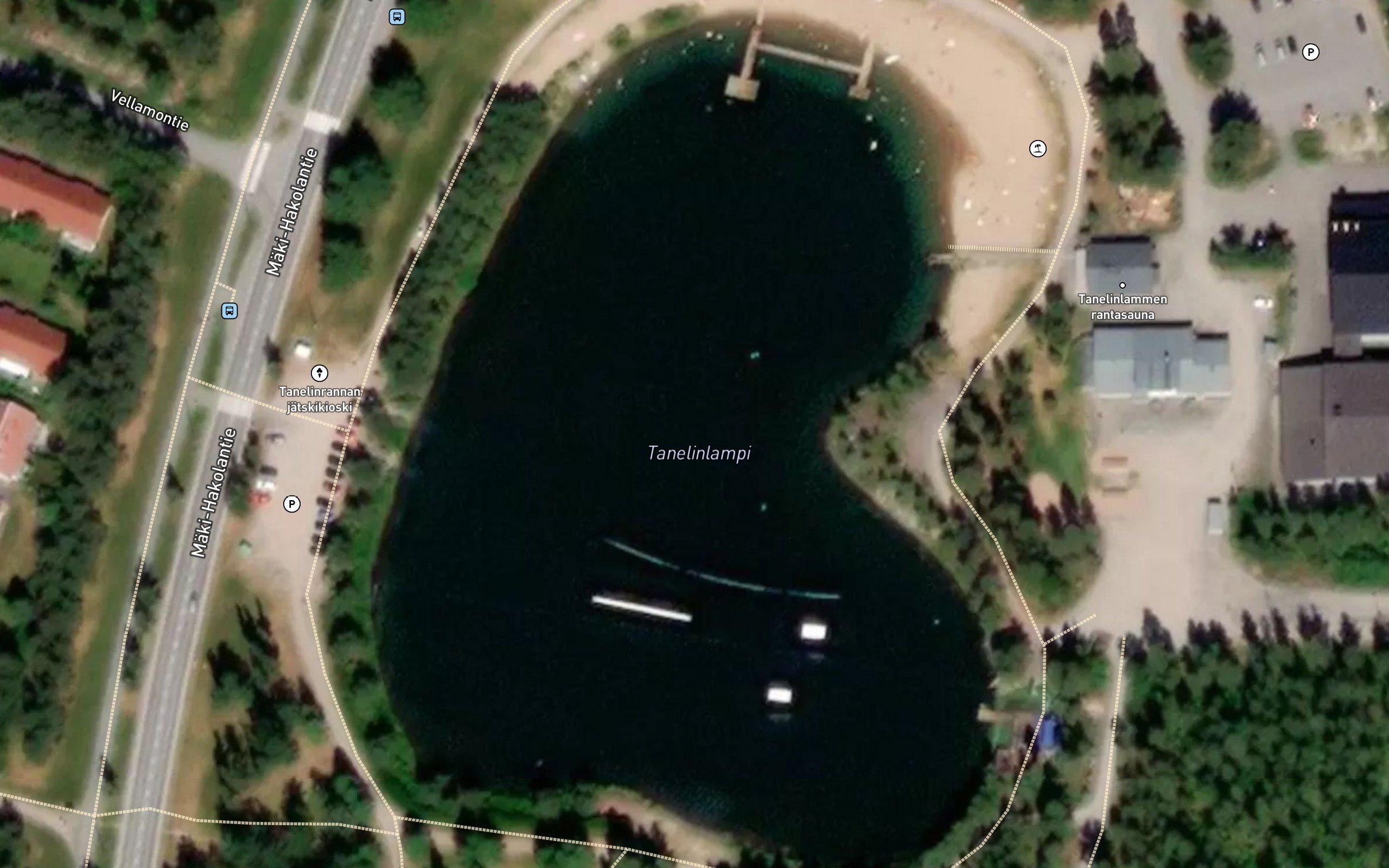 Tanelinlampi