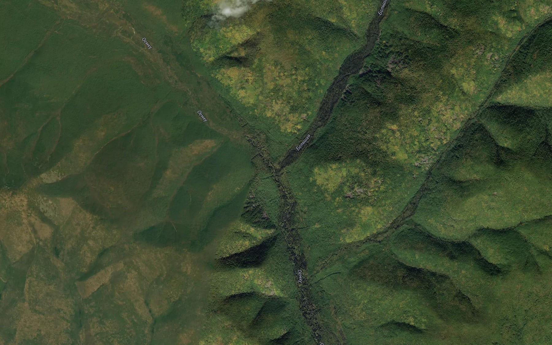 Satellite map of the Bol'shaya