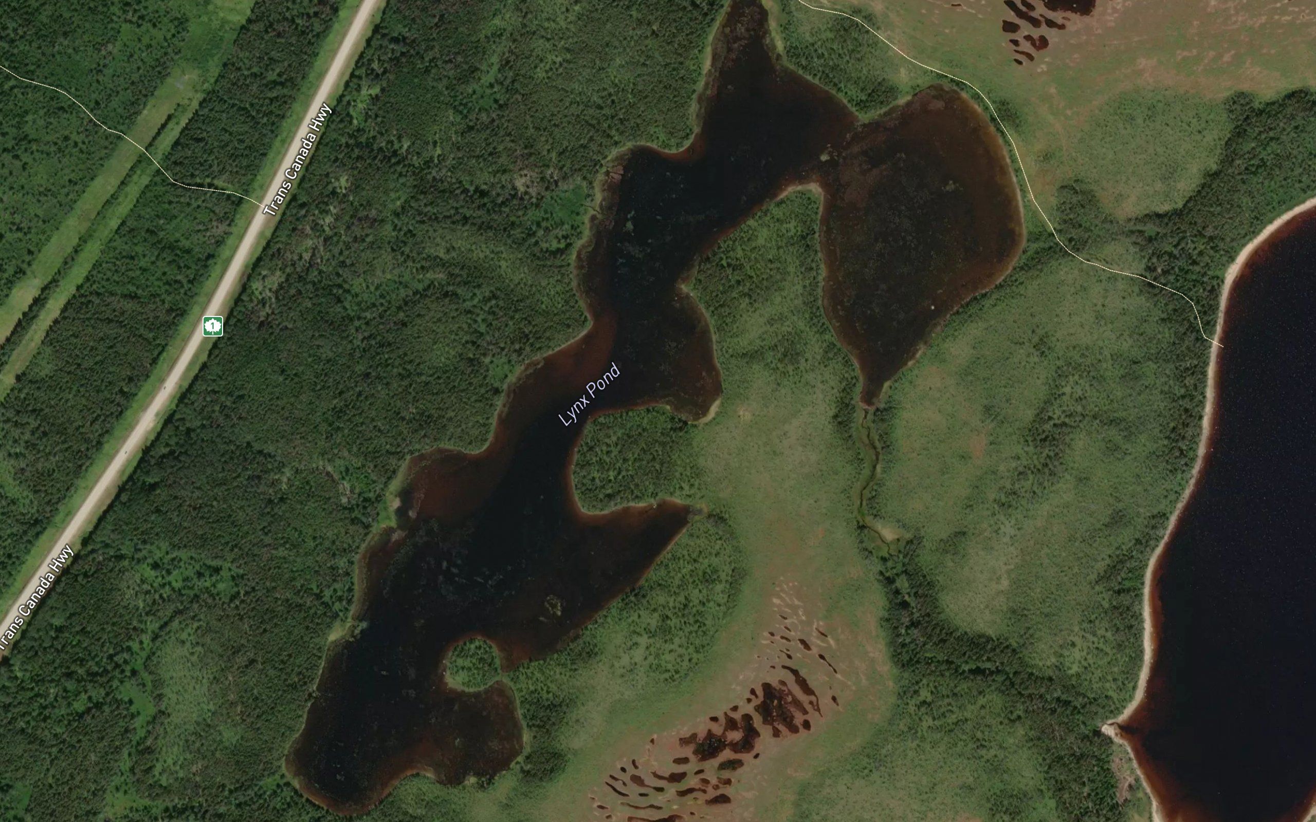 Lynx Pond