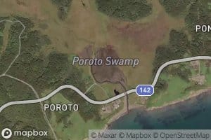 Poroto Numa