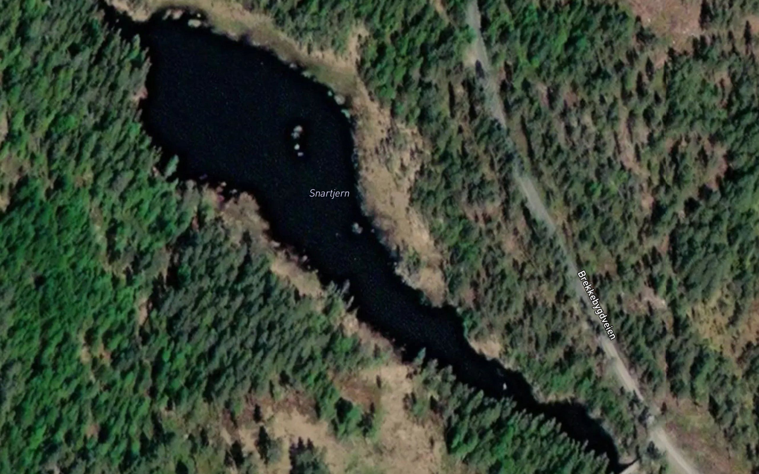 Snartjern