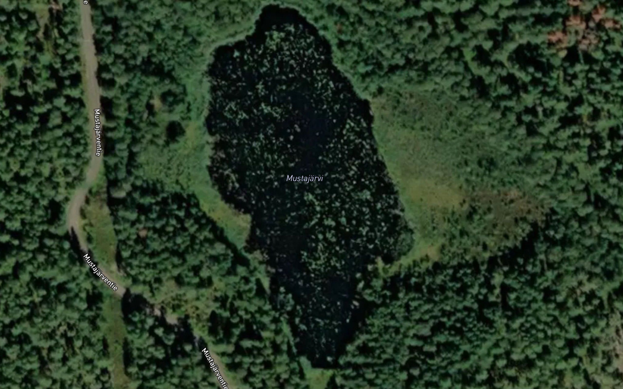 Mustajarvi
