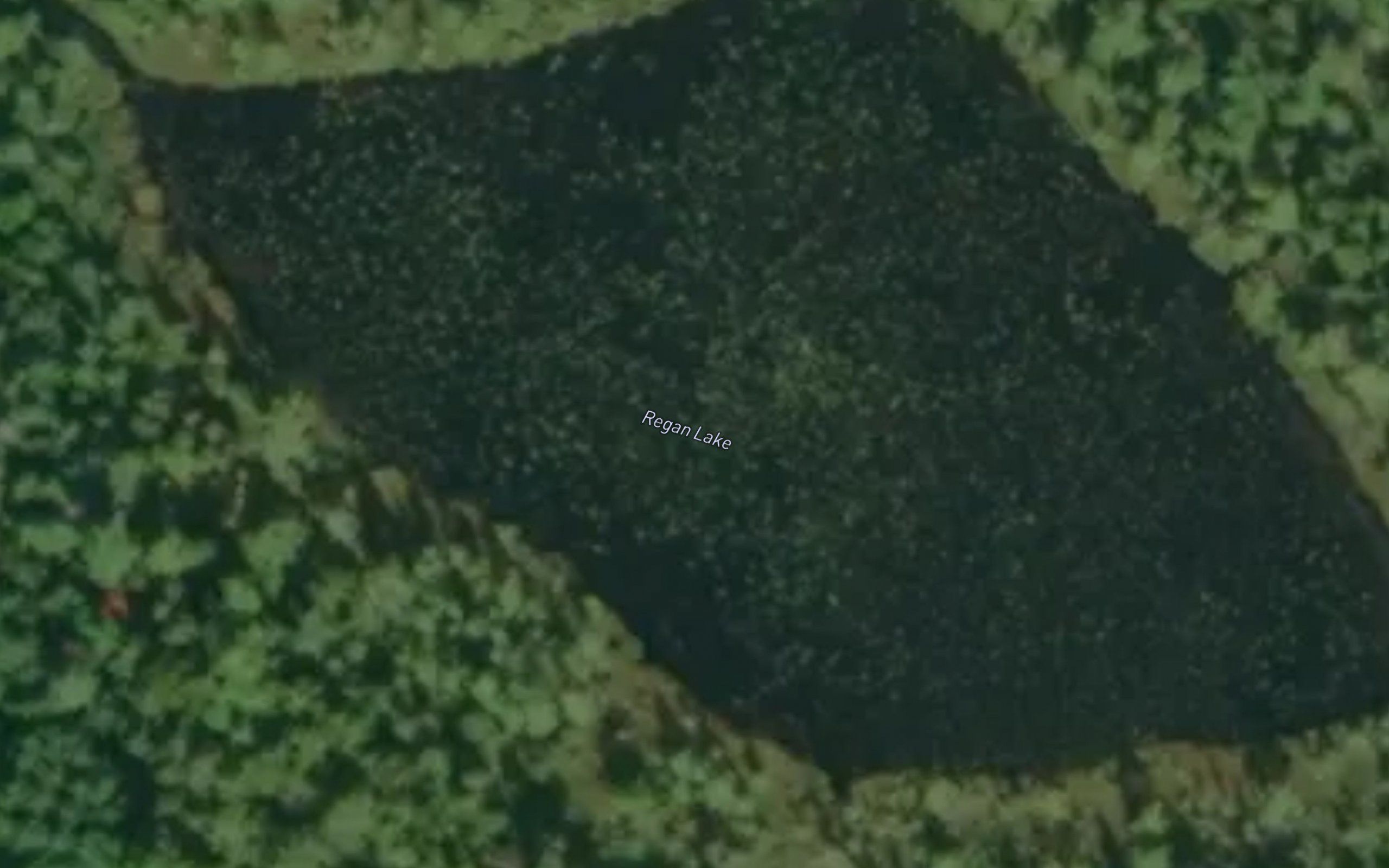 Regan Lake