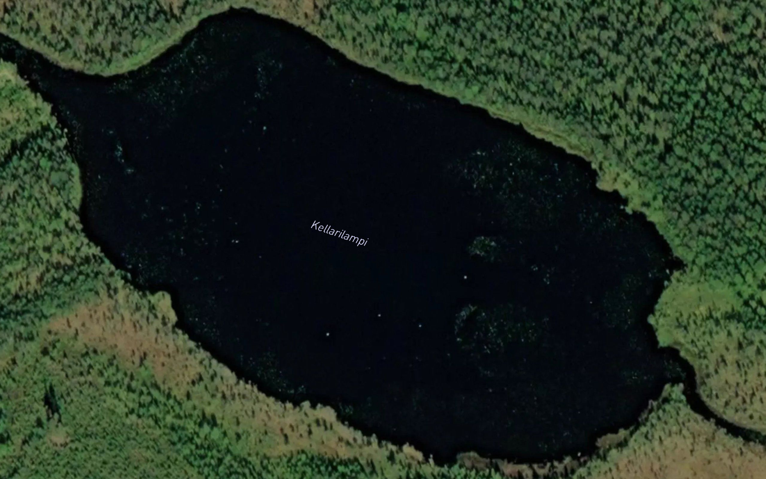 Kellarilampi