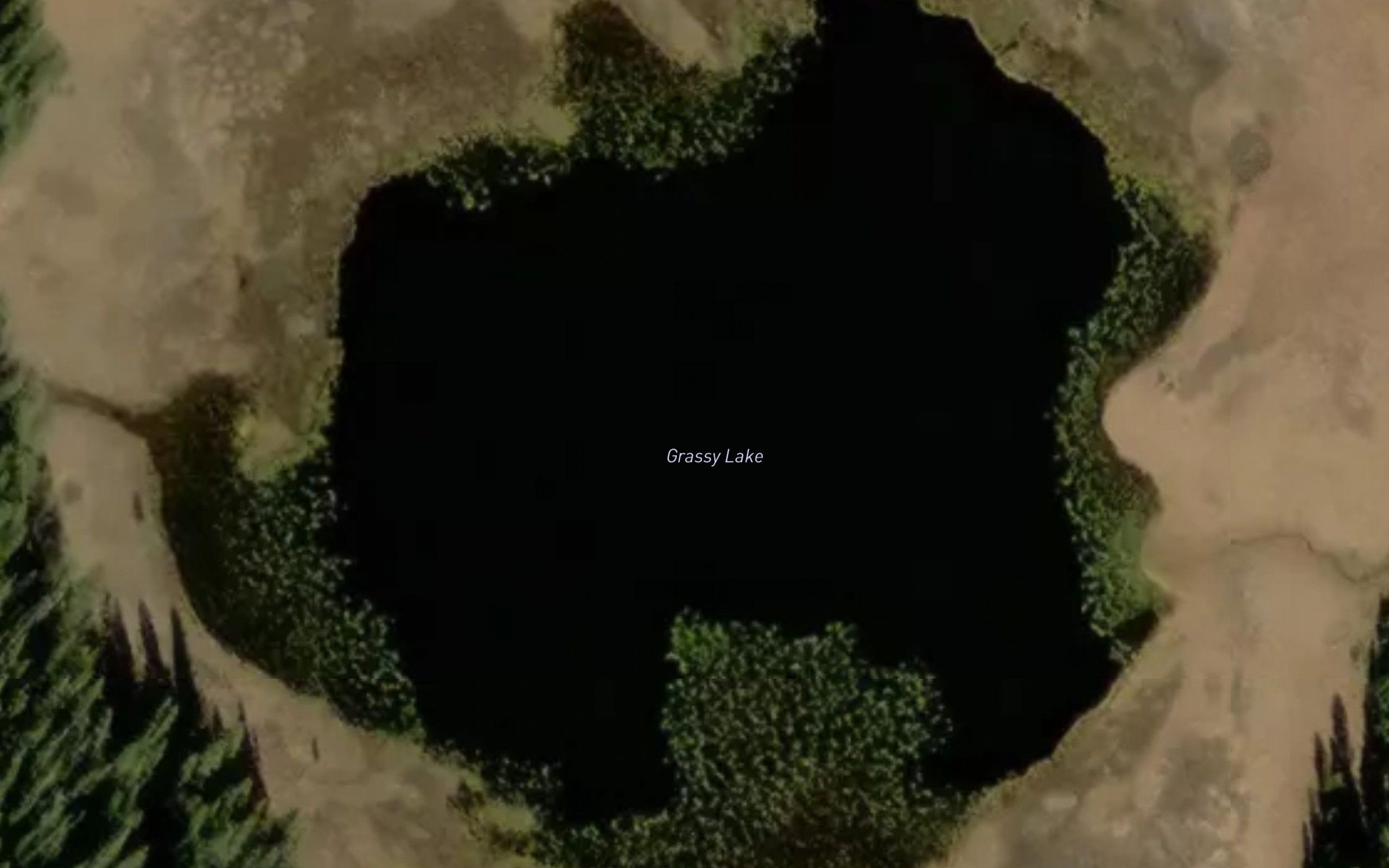 Grassy Lake
