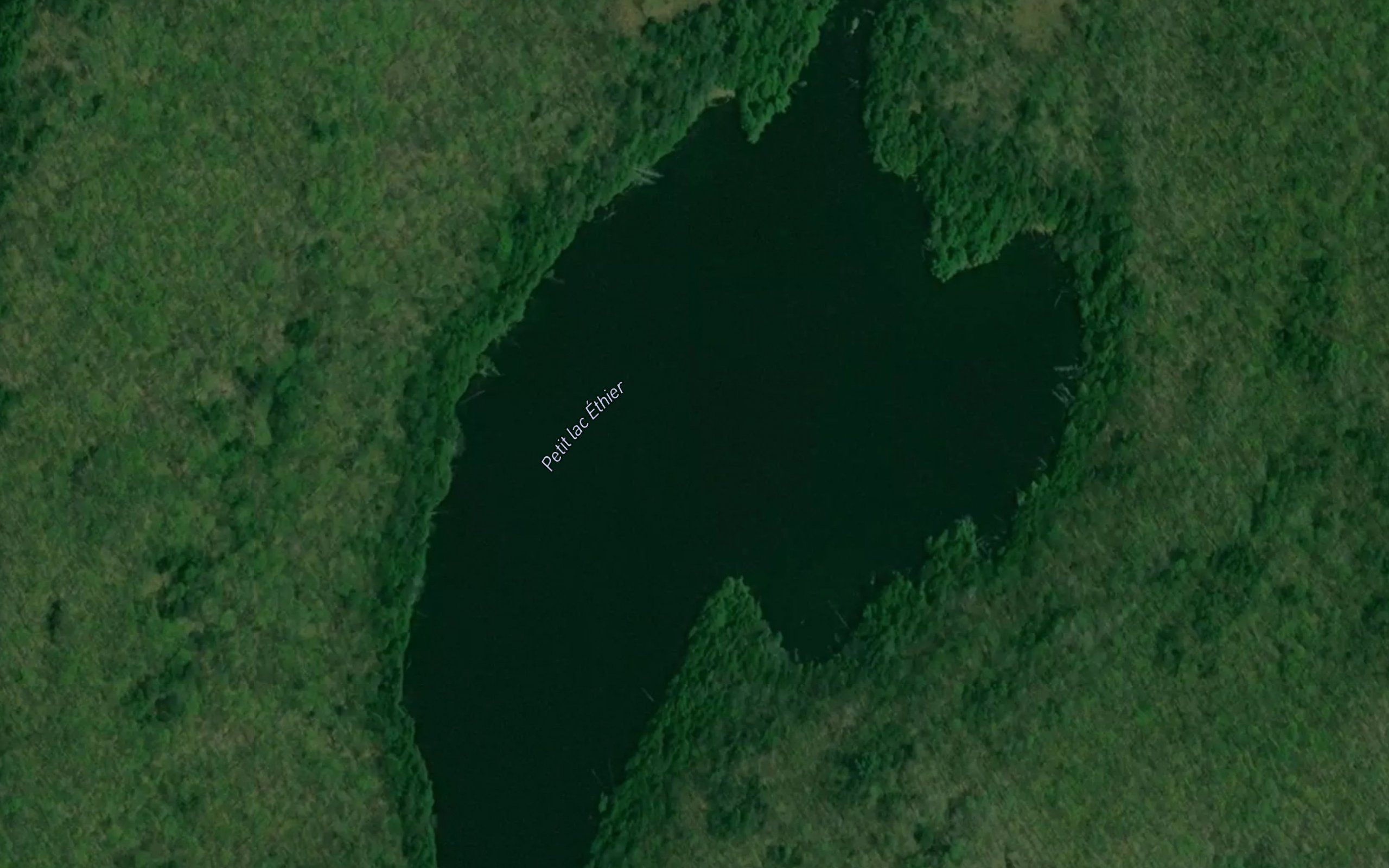 Petit lac Ethier