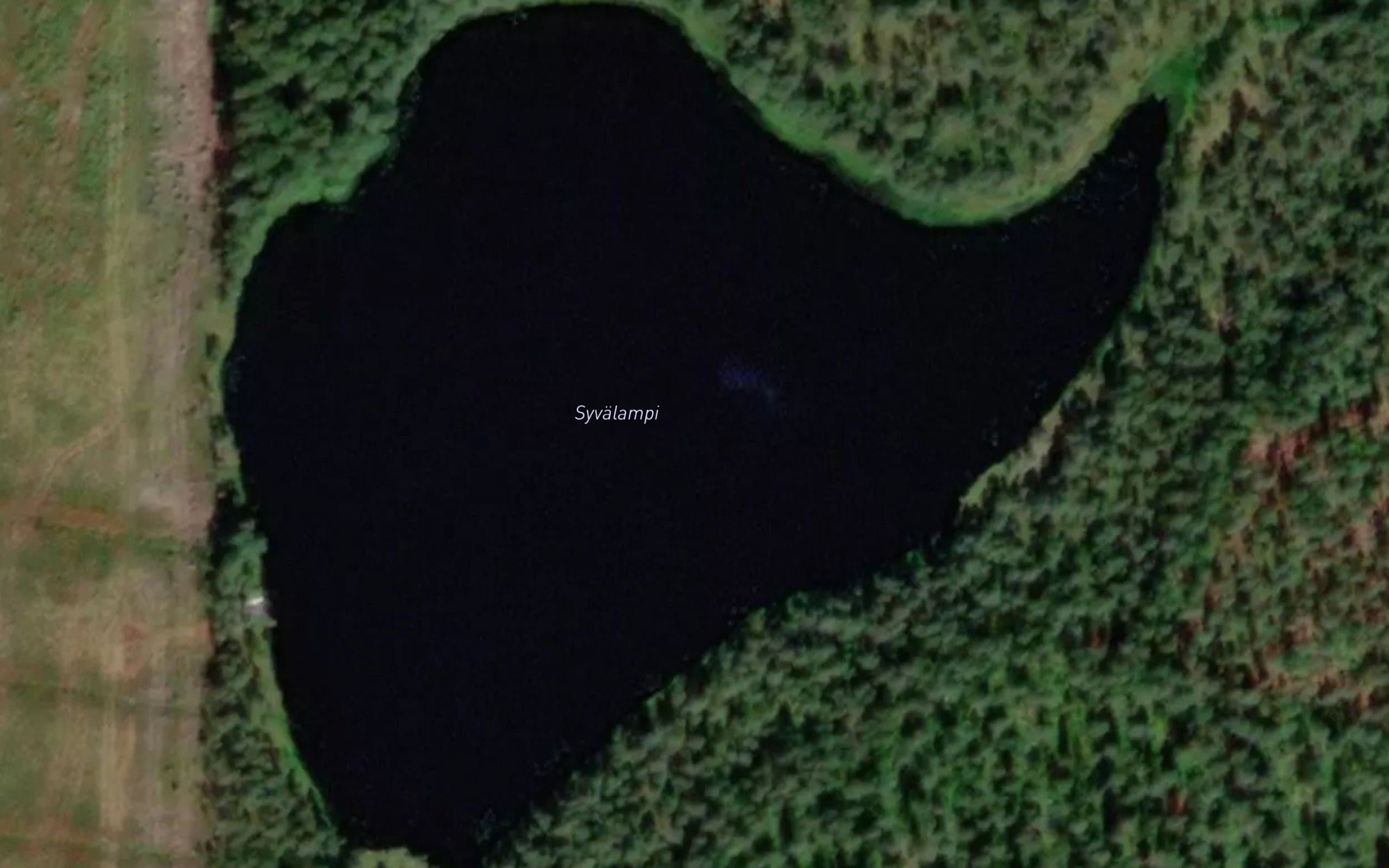 Syvalampi