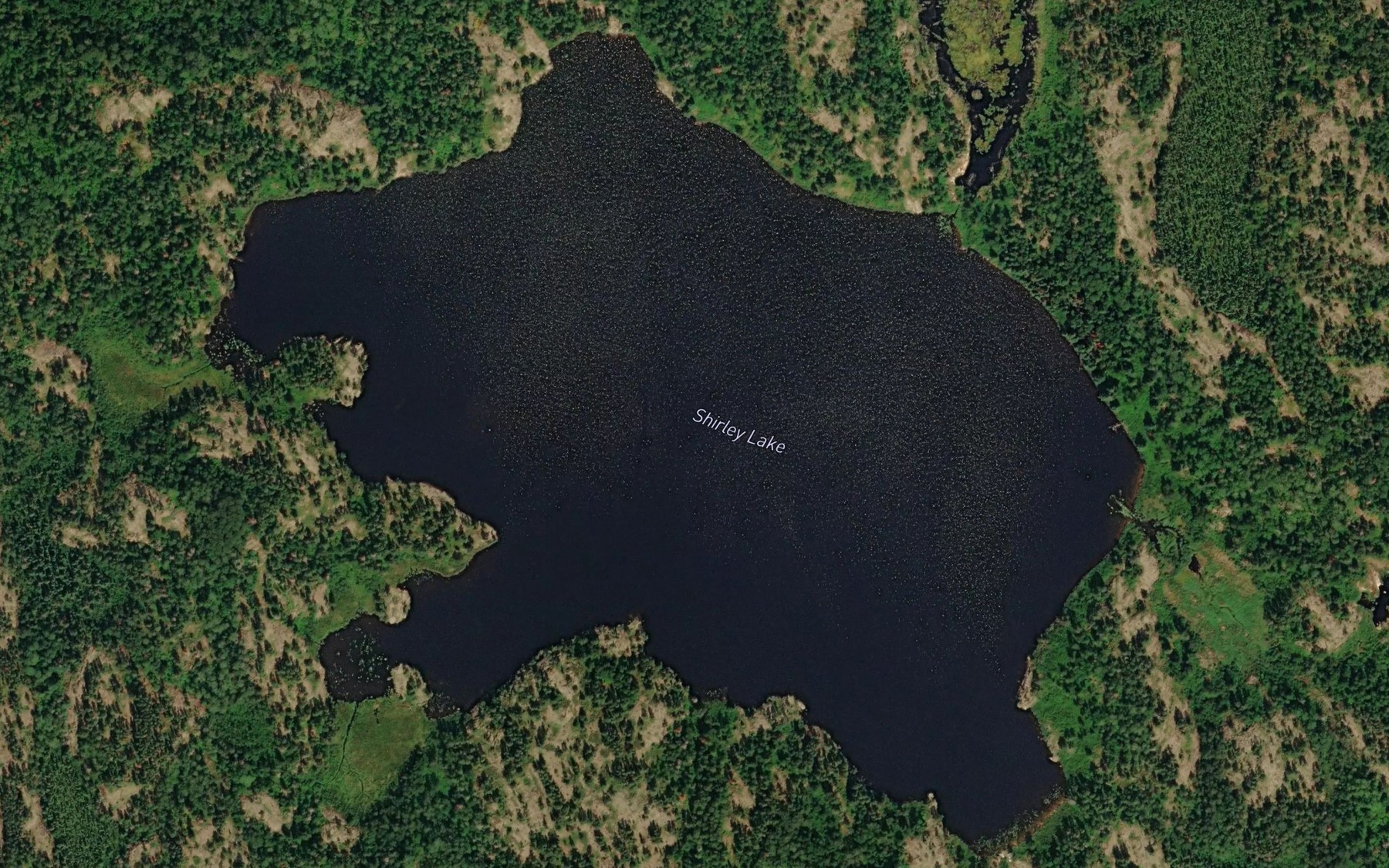 Satellite map of the Shirley Lake