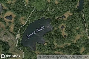 Store Aurli