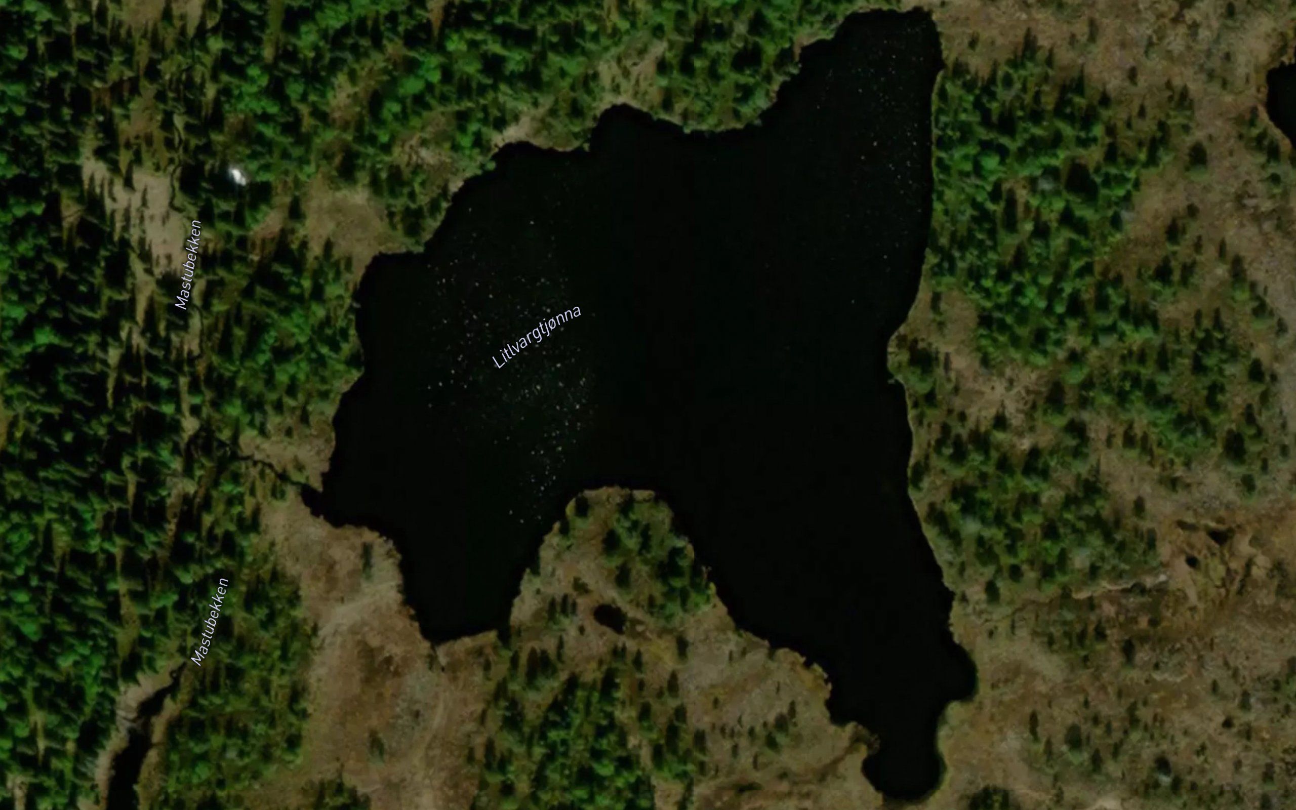 Litlvargtjonna