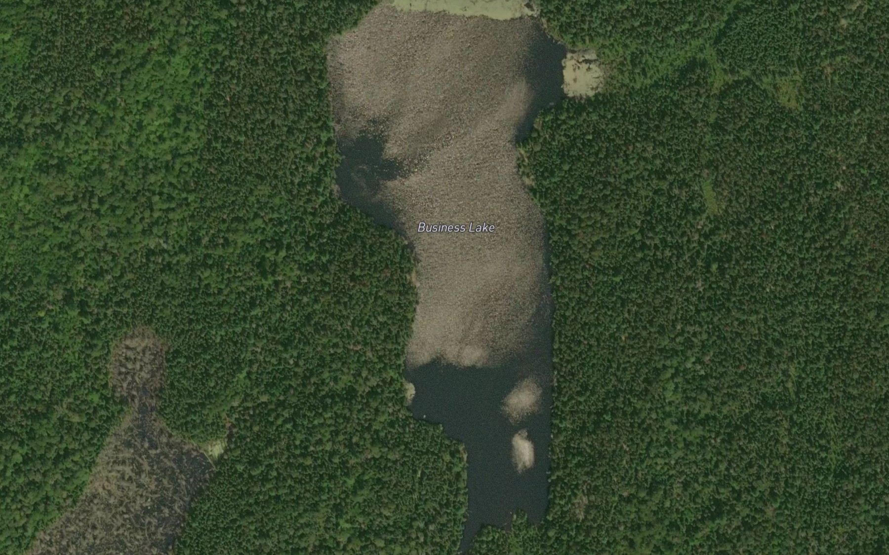 Satellite map of the Business Lake