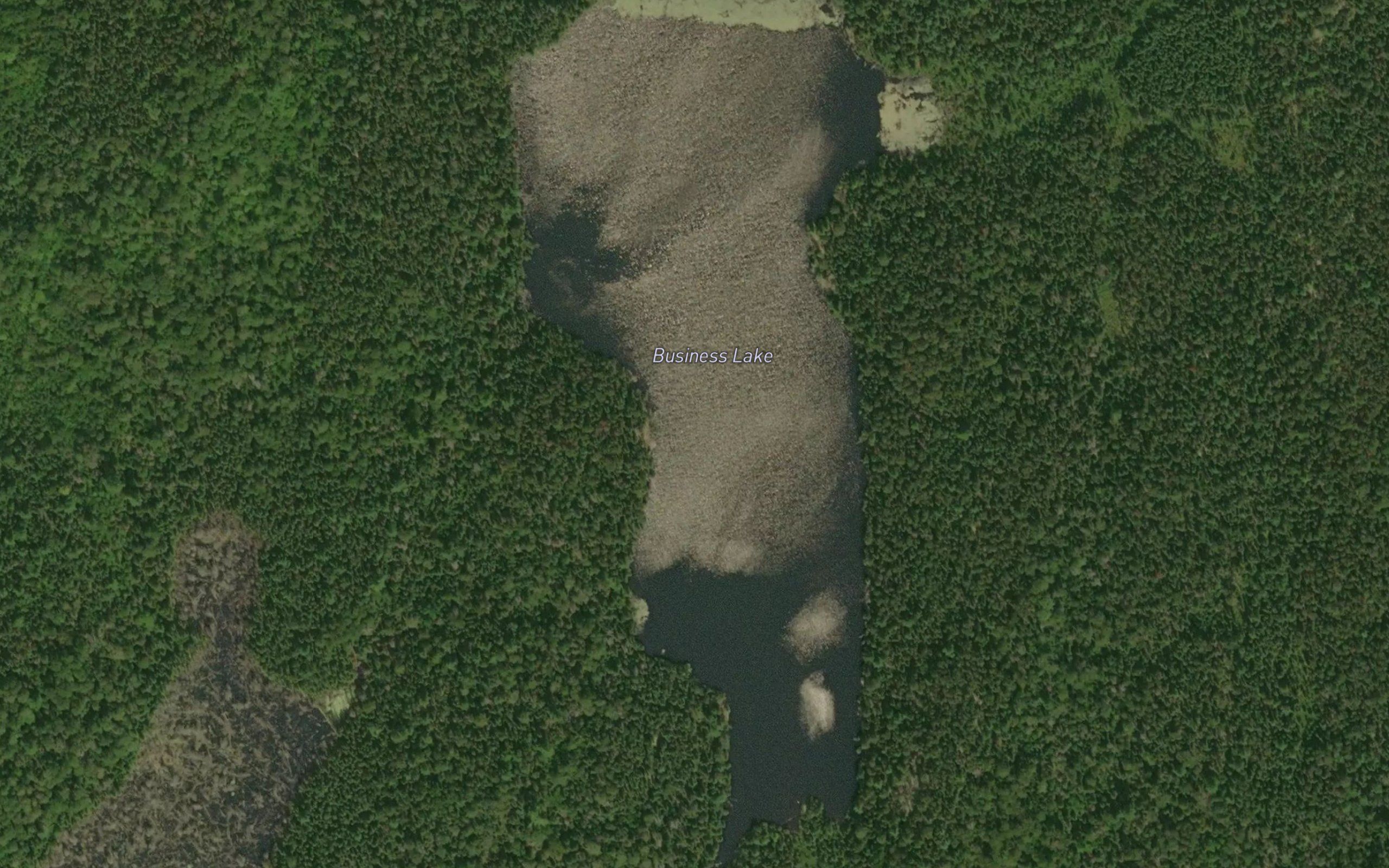 Business Lake