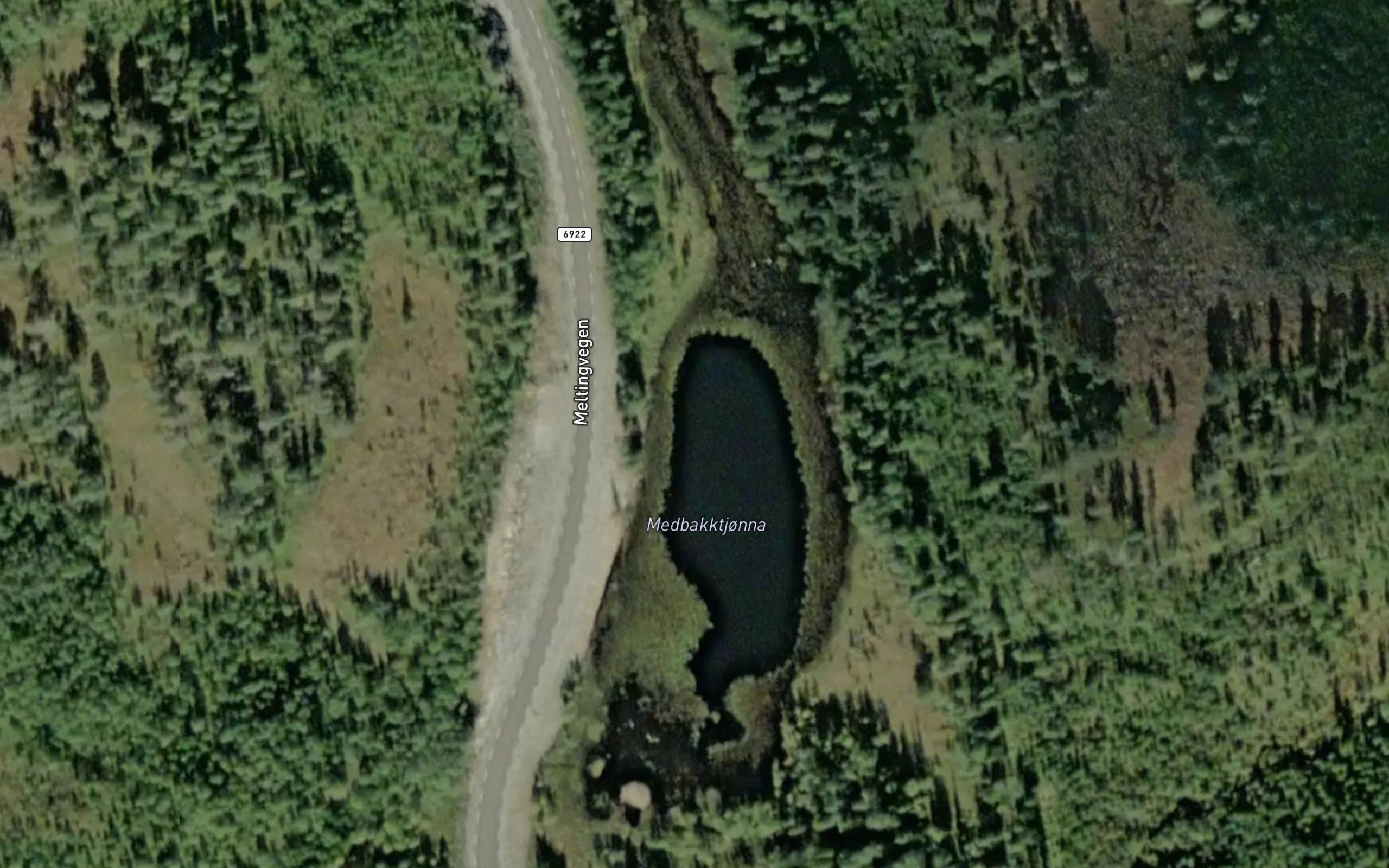 Medbukktjorna