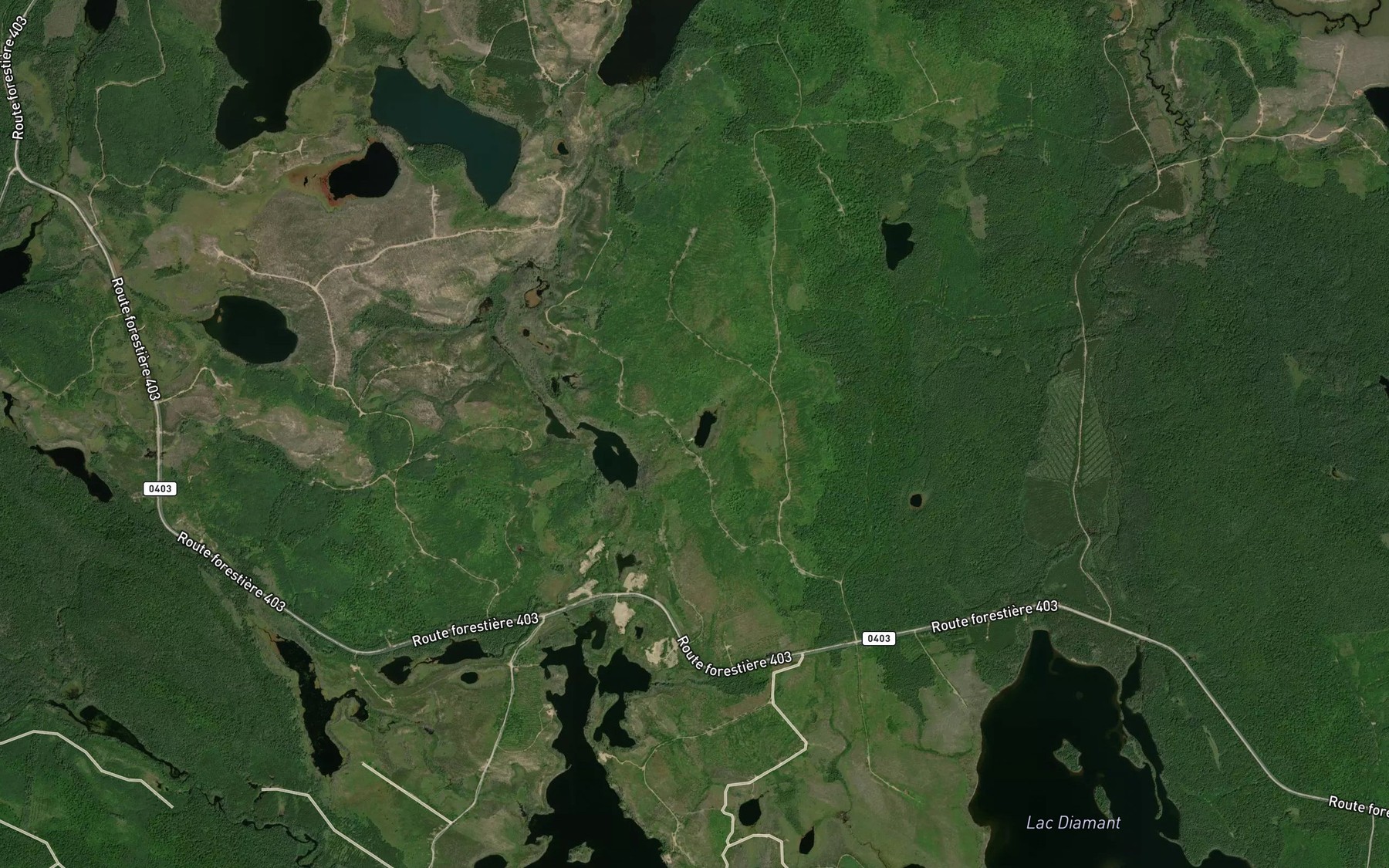 Satellite map of the Lac du Bassinet